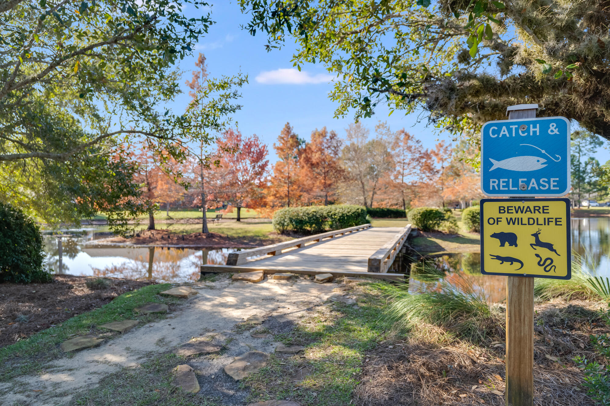 316 Cocobolo Drive