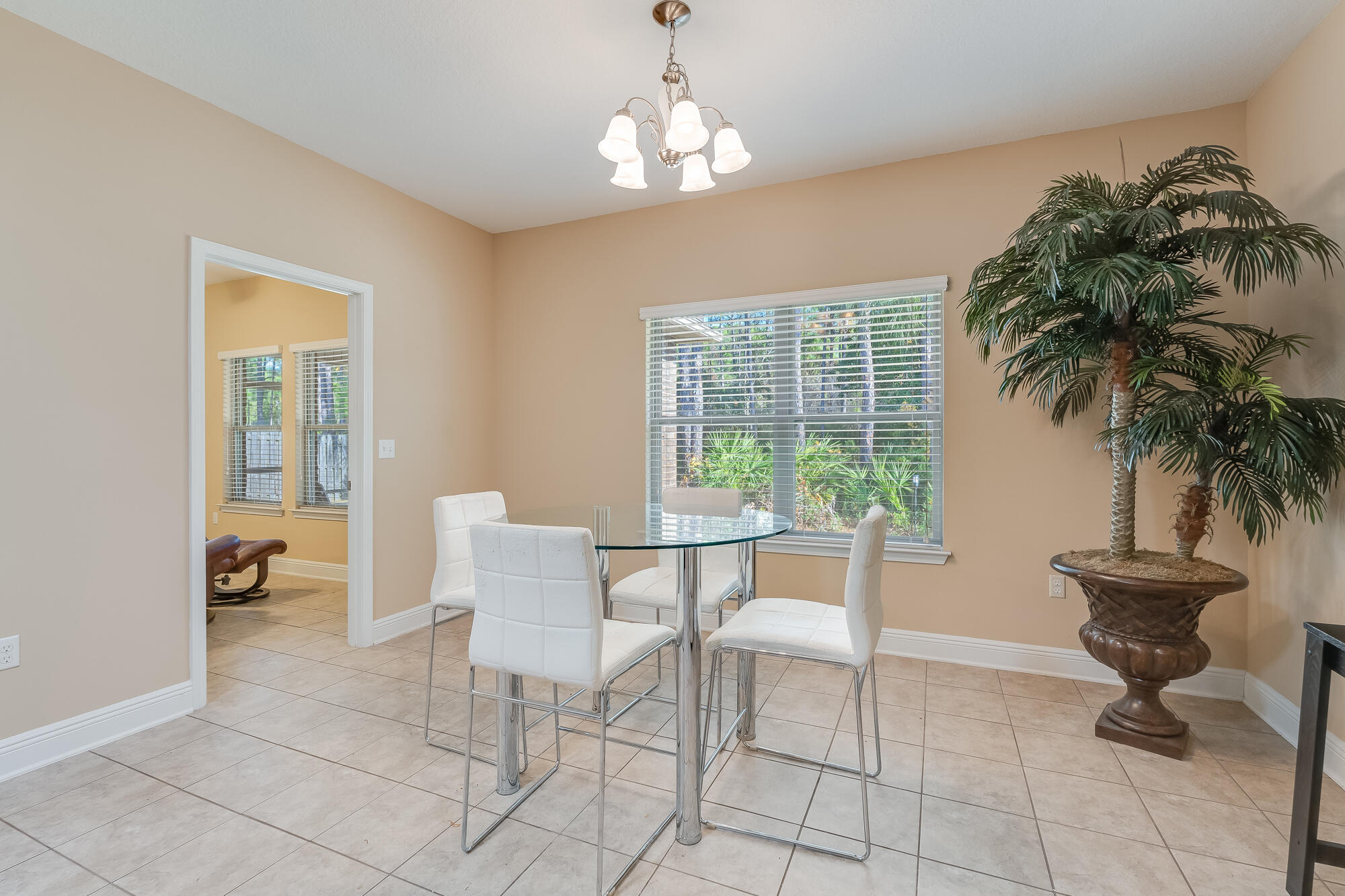 316 Cocobolo Drive