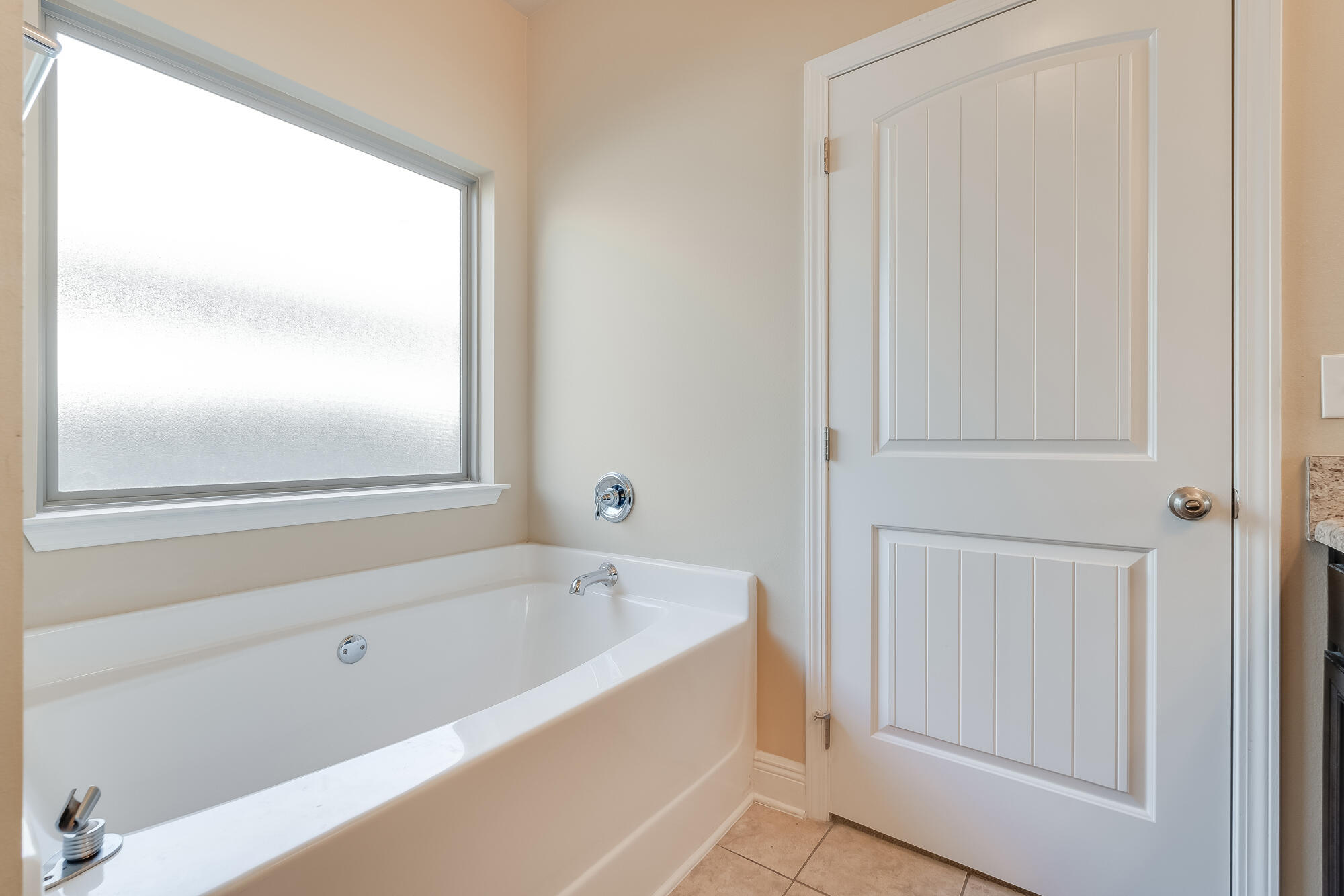 316 Cocobolo Drive