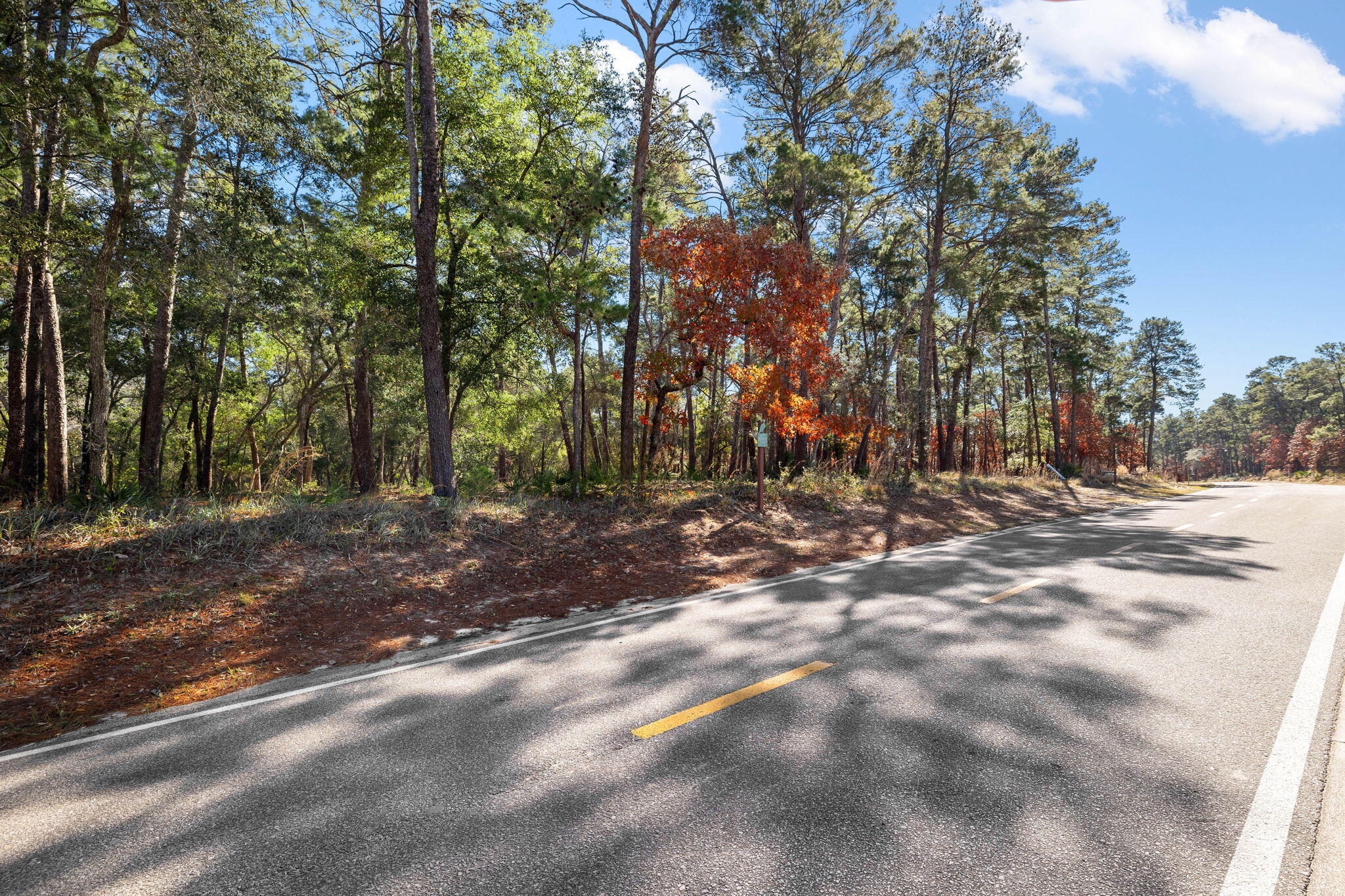 1733 Lost Cove Lane