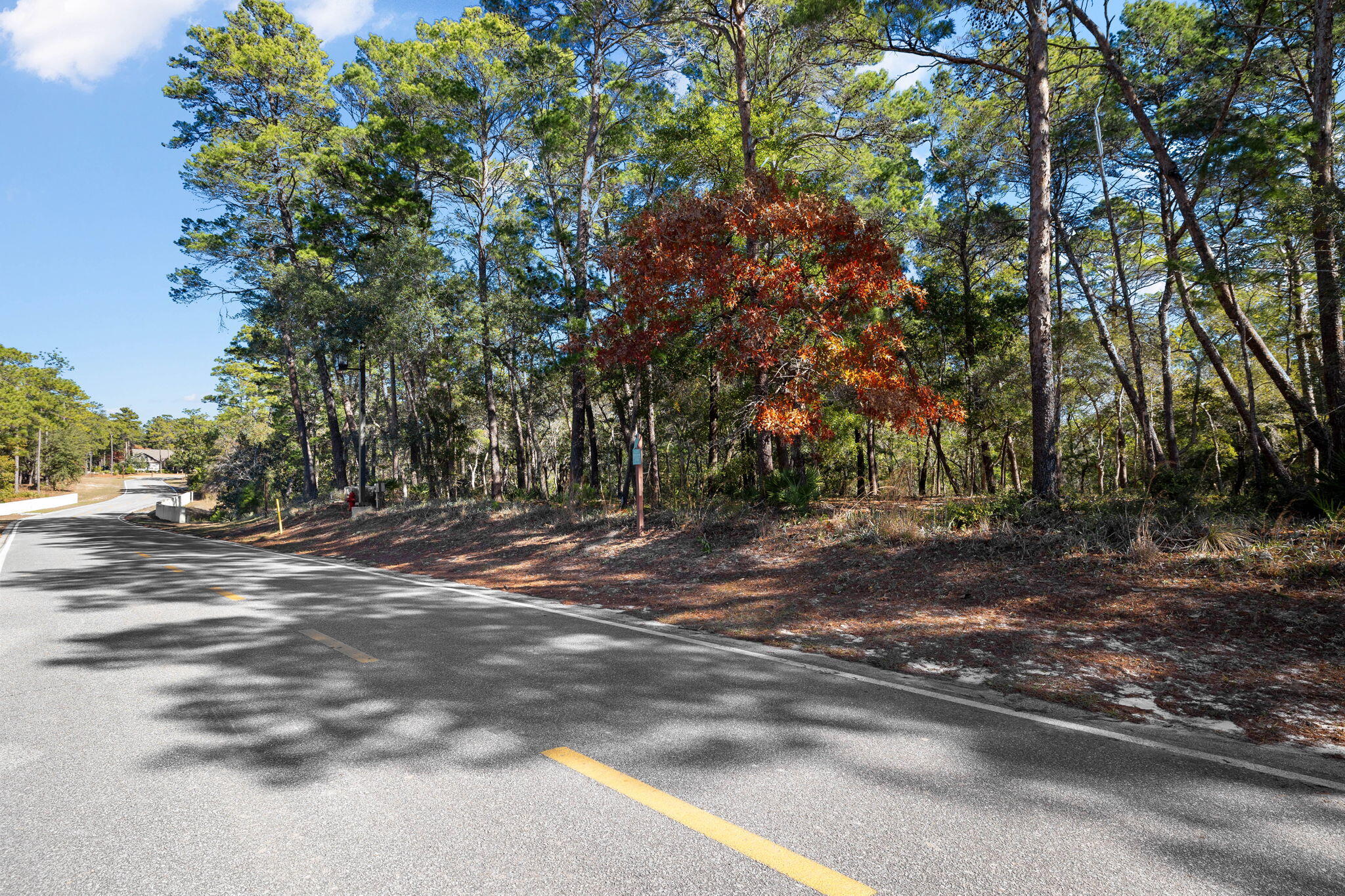 1733 Lost Cove Lane