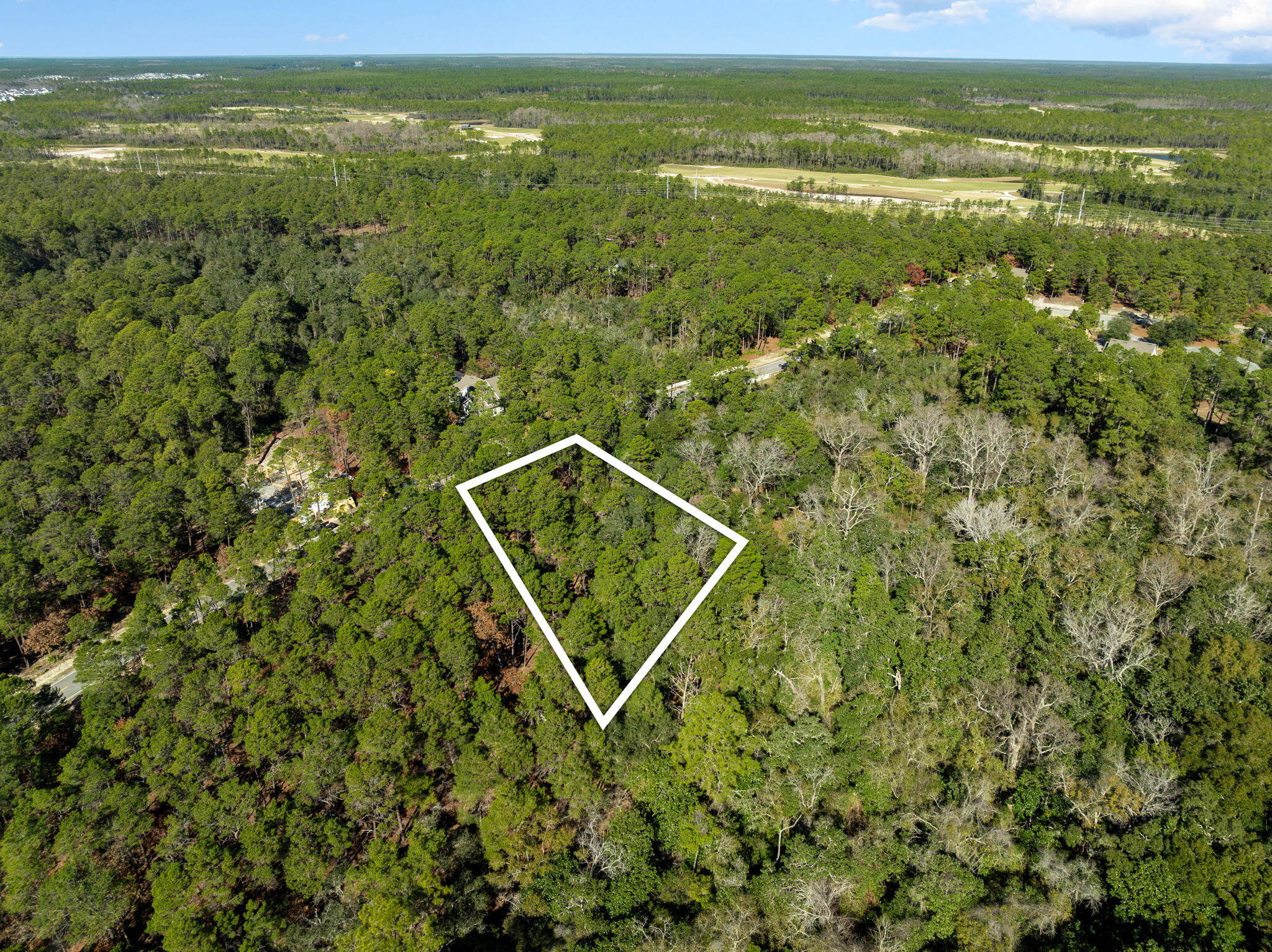 1733 Lost Cove Lane