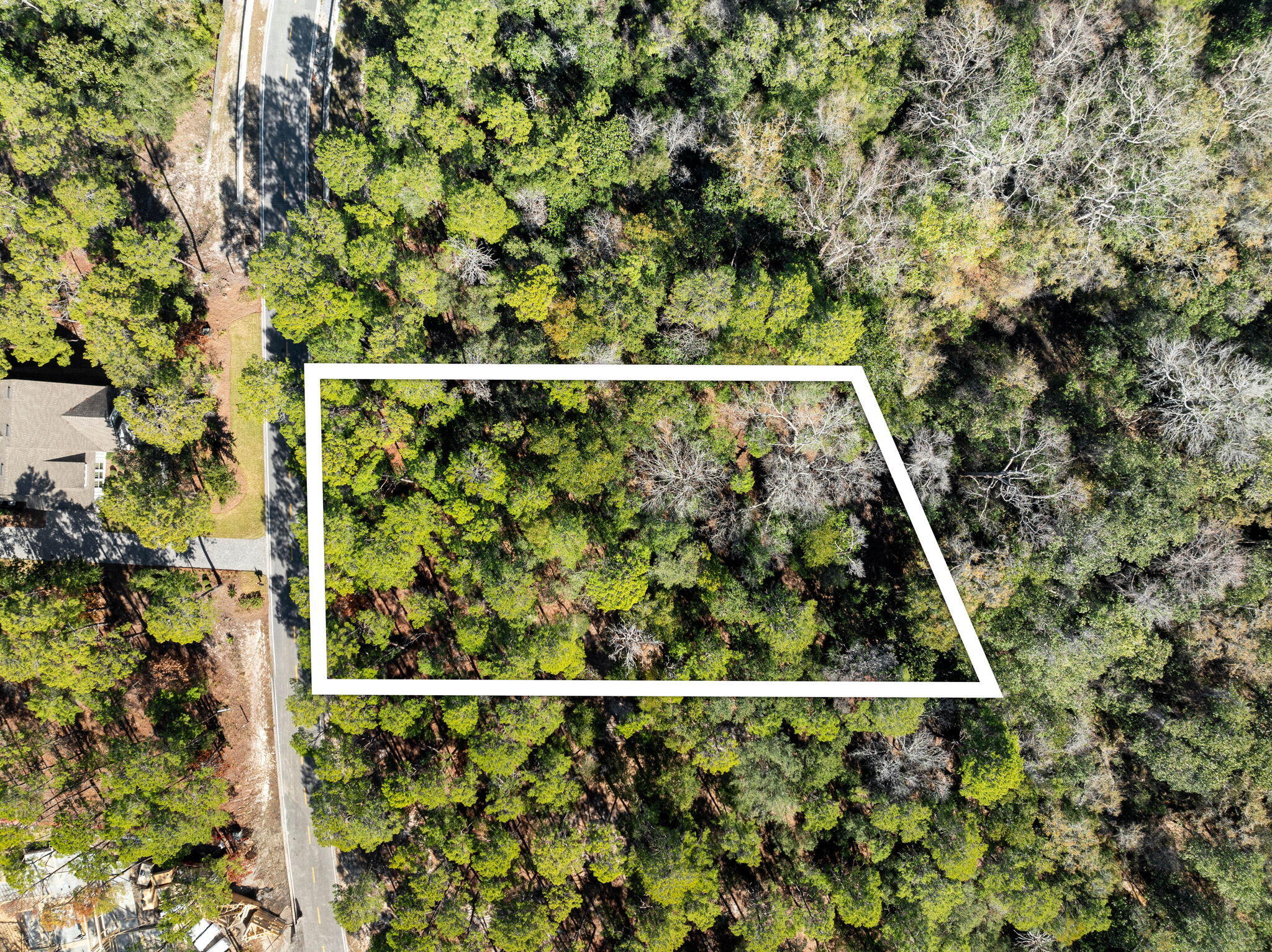 1733 Lost Cove Lane