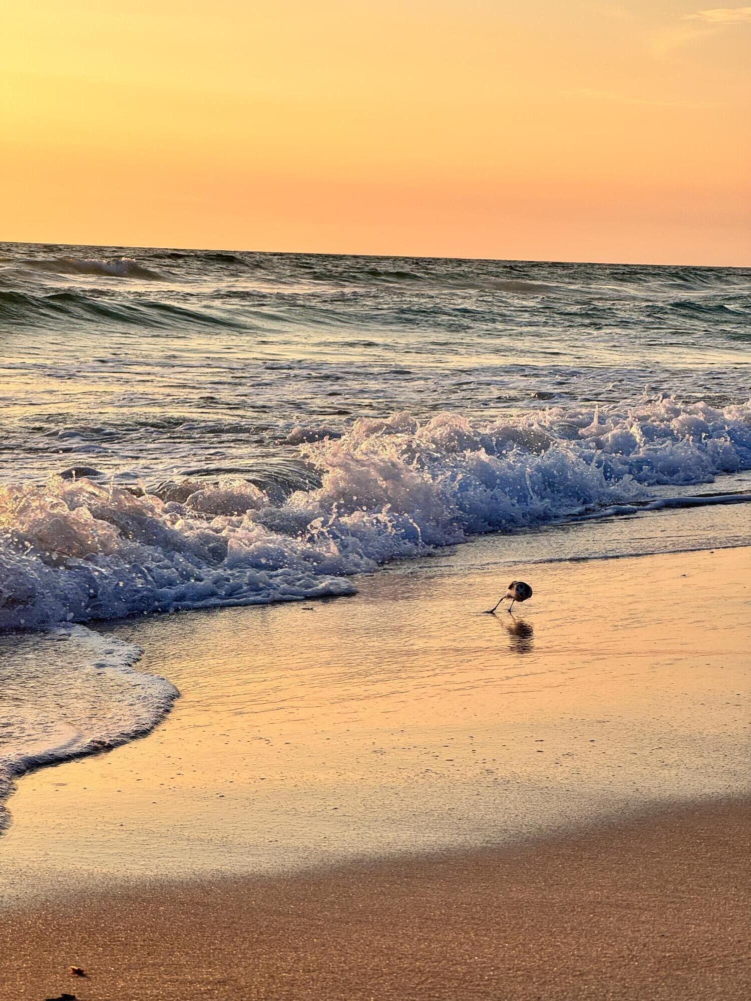 17735 Front Beach Road, UNIT 4