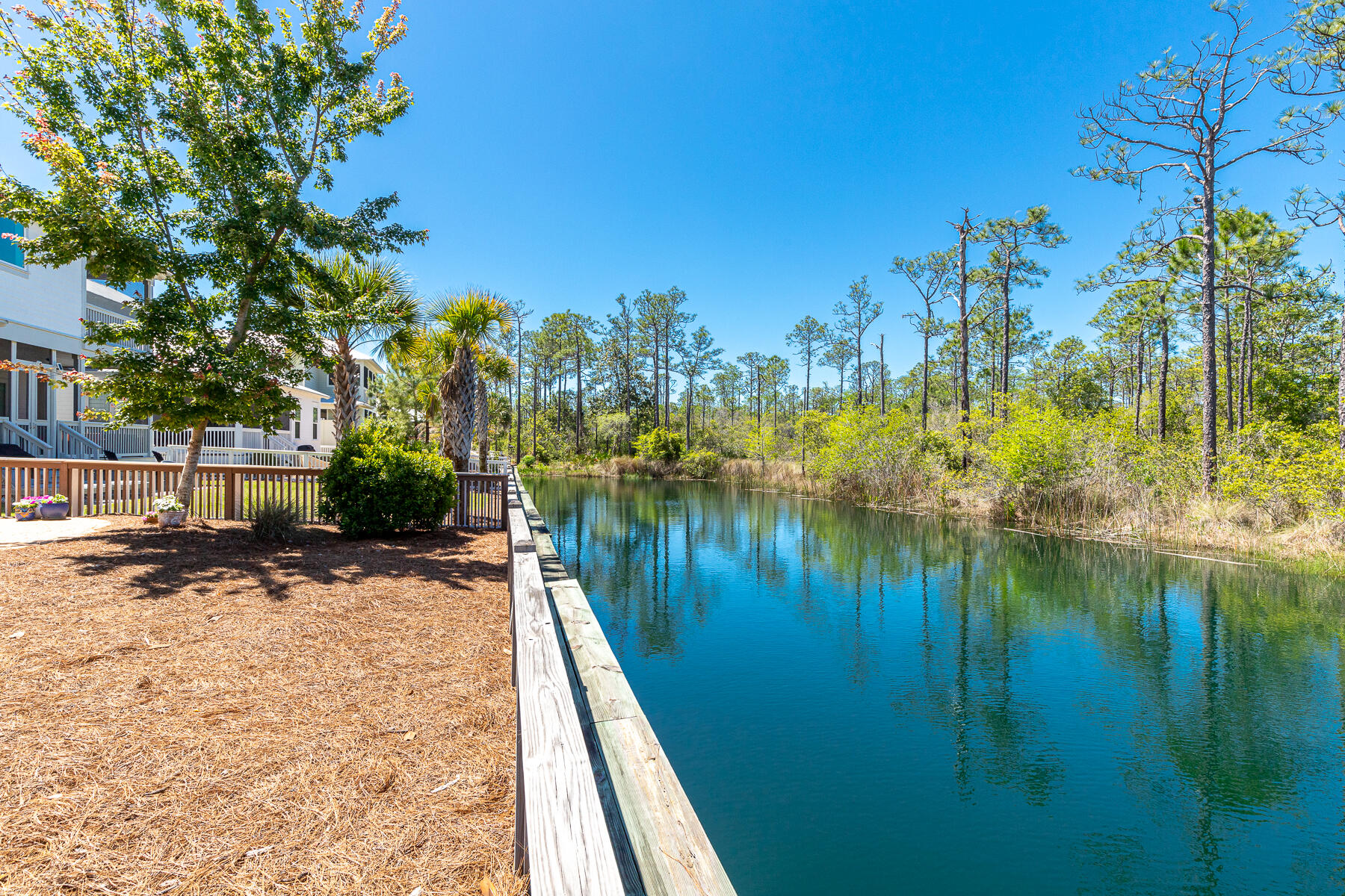 331 Flatwoods Forest Loop