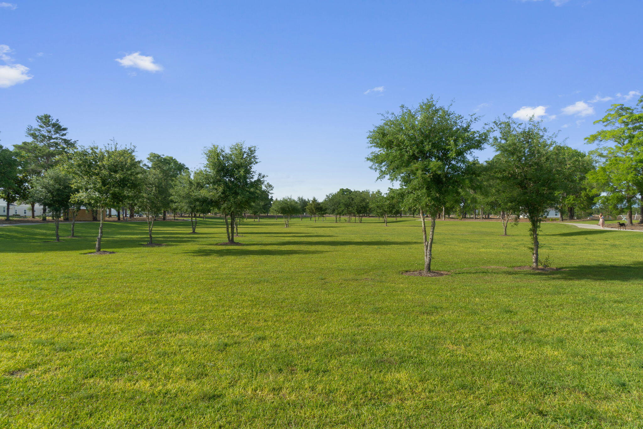 464 Arrowwood Boulevard