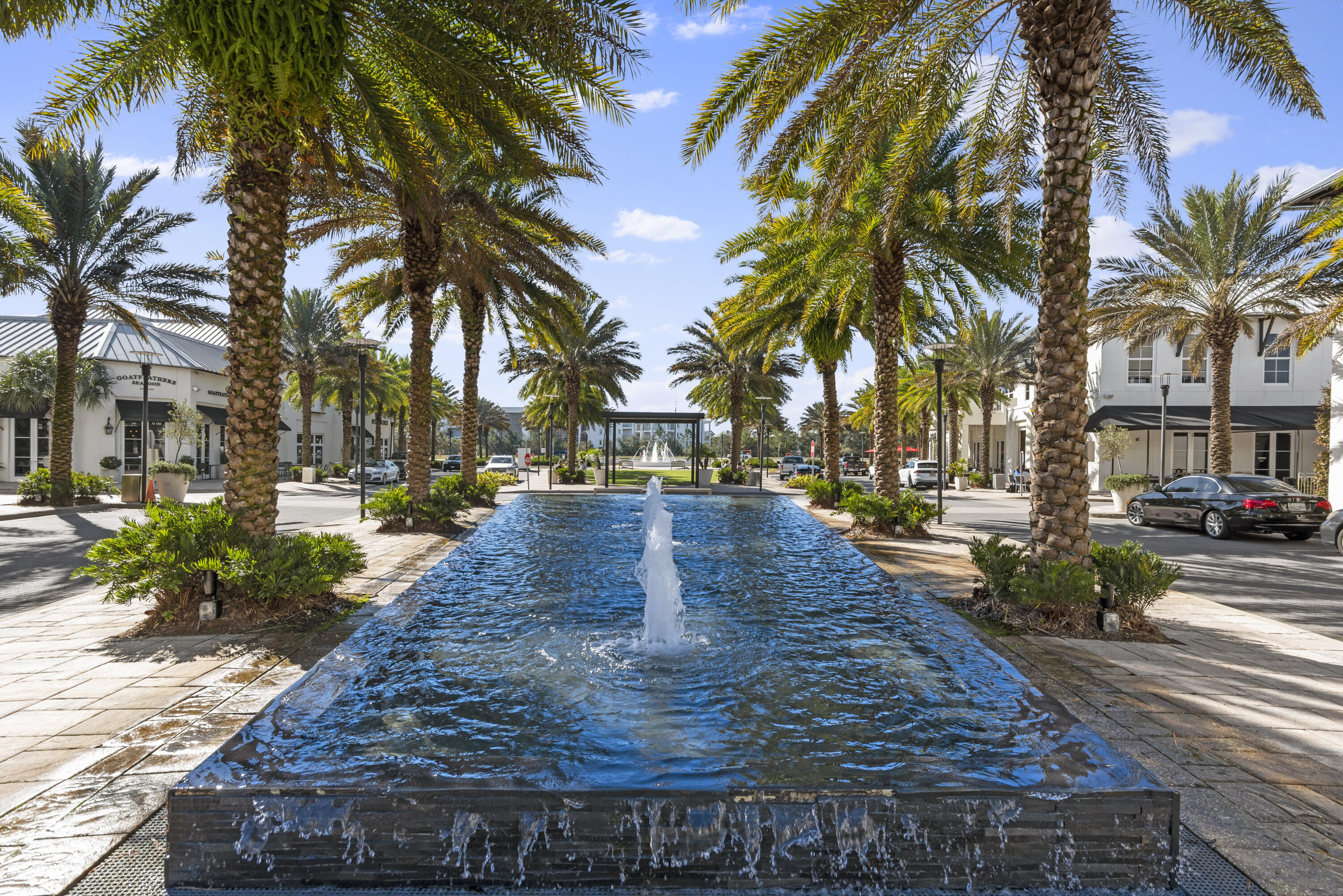 27 W Queen Palm Drive