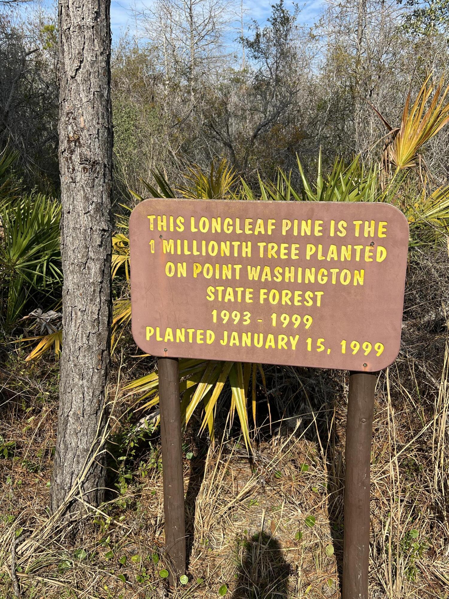 310 Channel Shoal Drive Lot 13