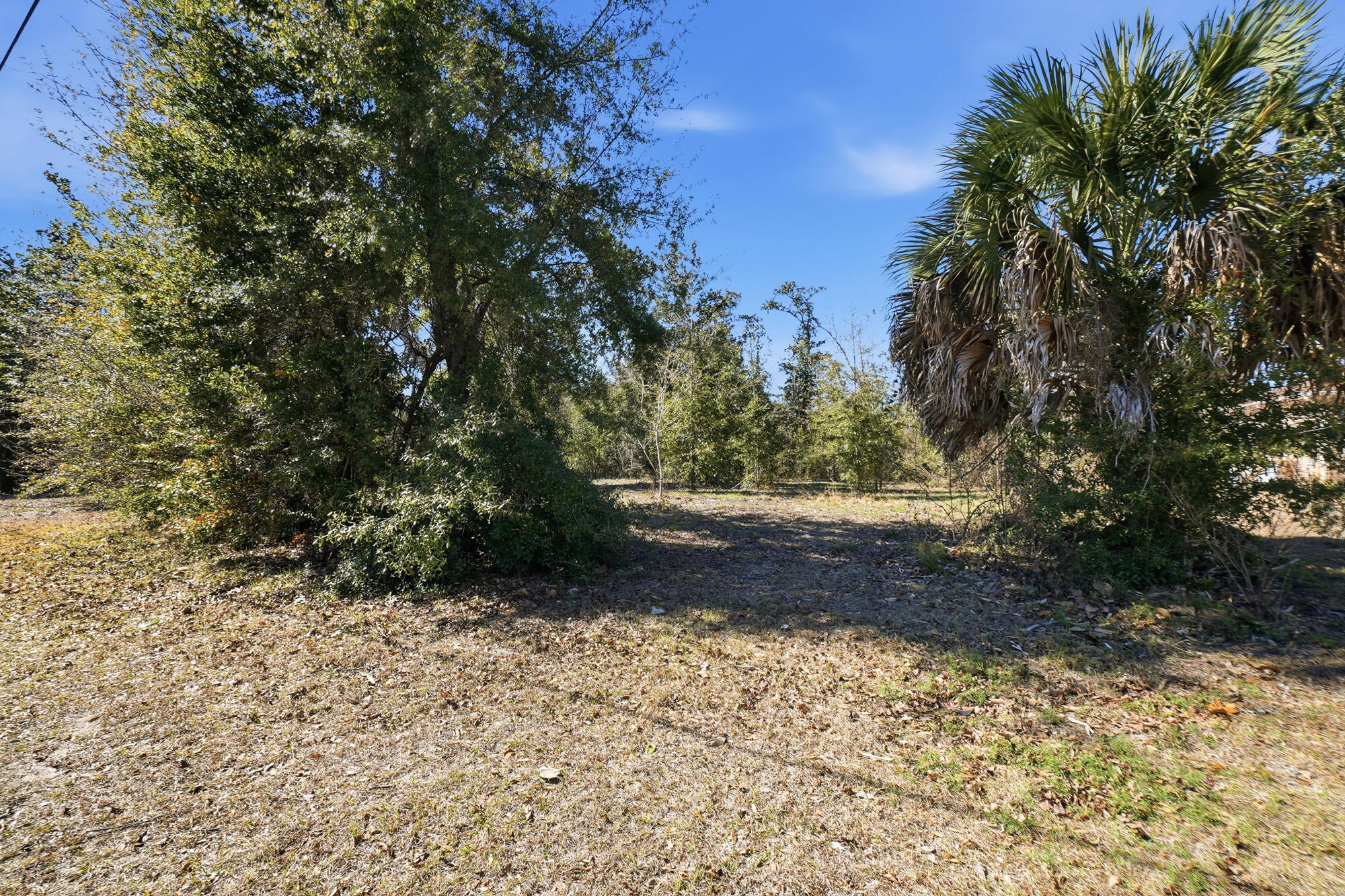 9209 Lake Forest Drive