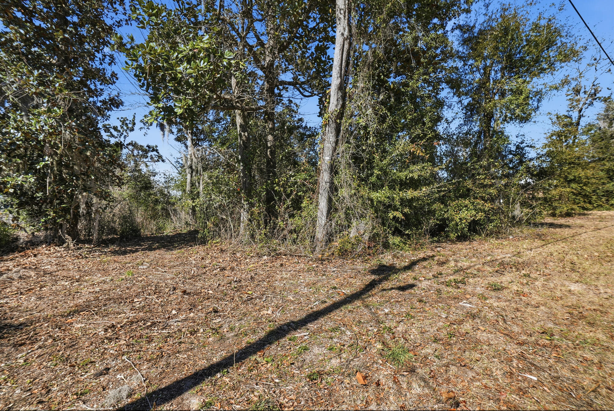 9209 Lake Forest Drive