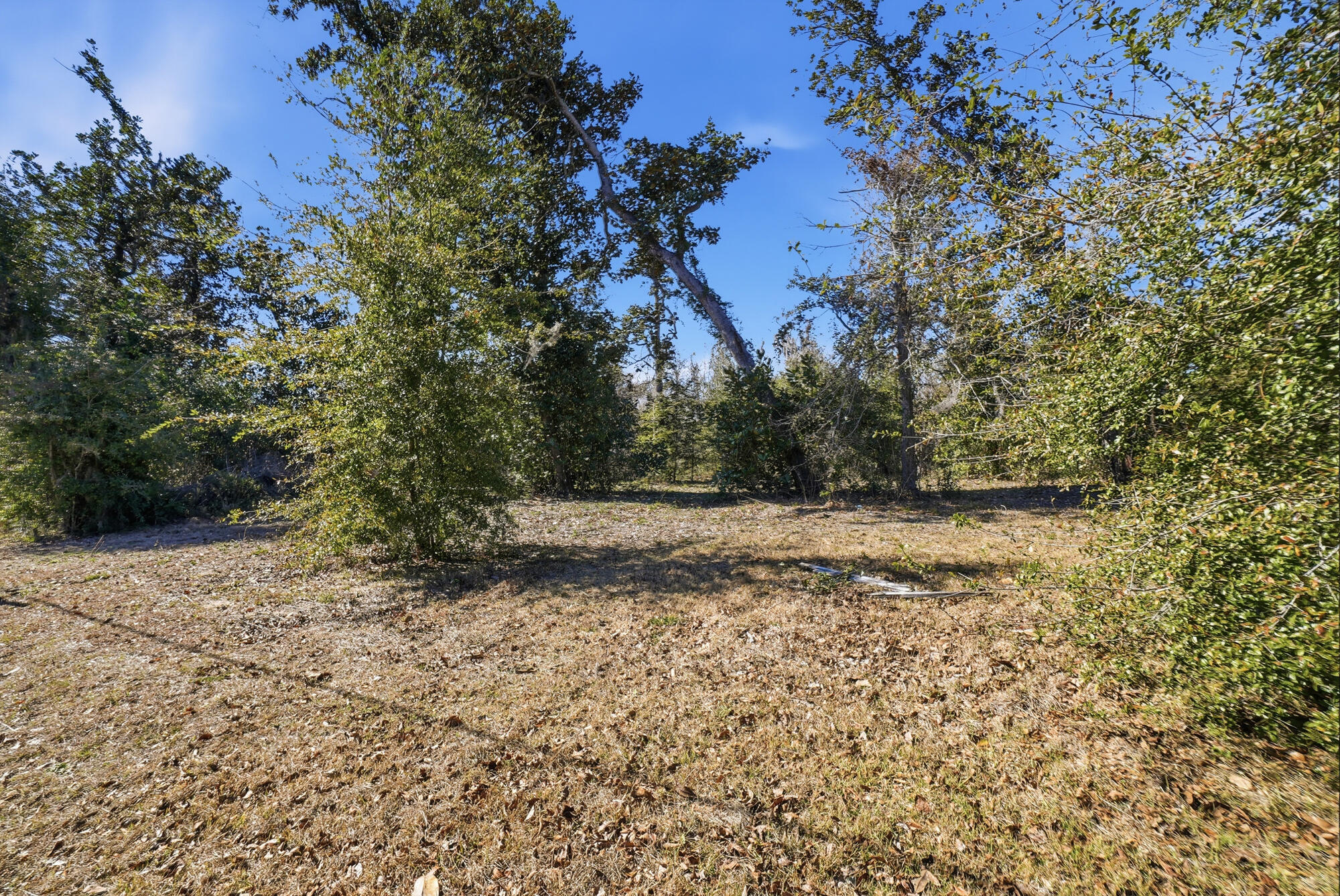 9209 Lake Forest Drive