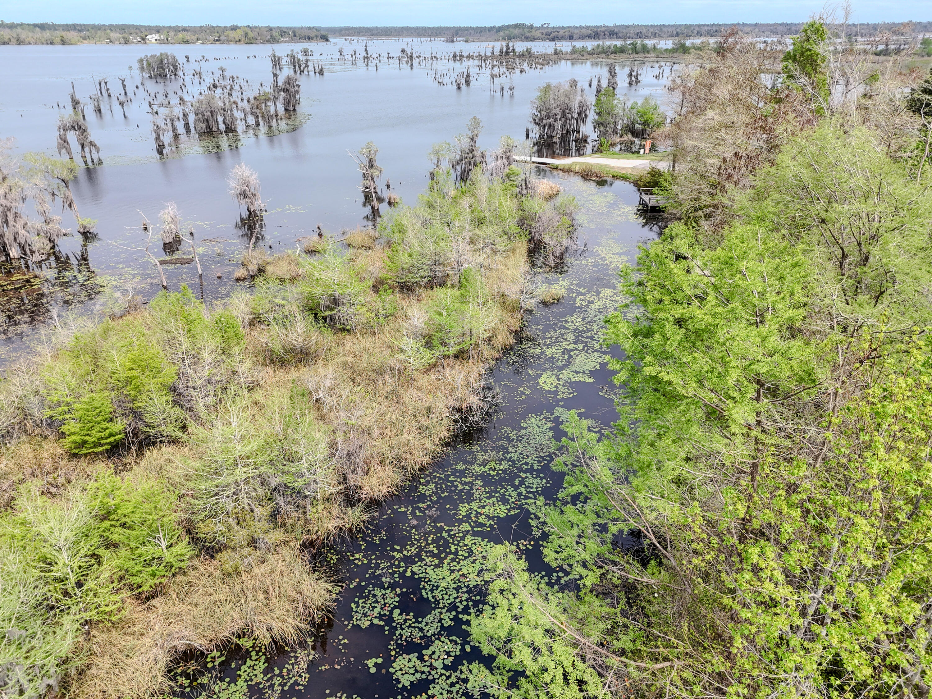 9203 Lake Forest Drive