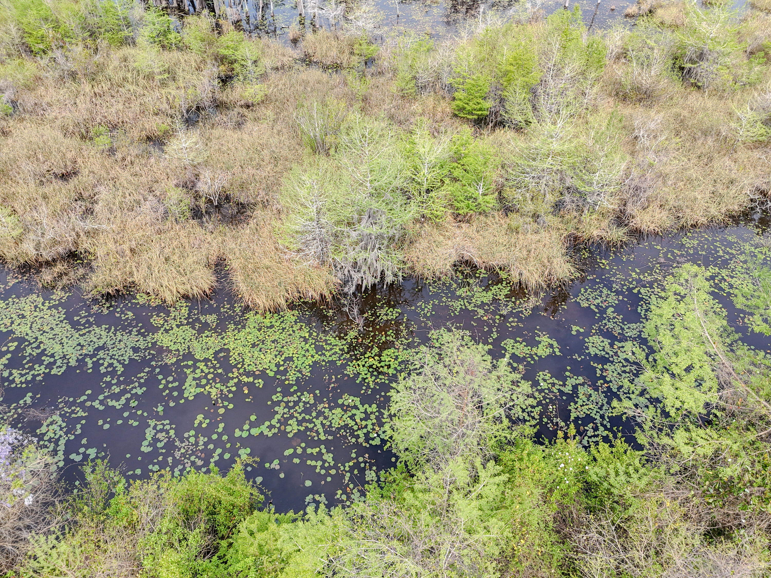 9203 Lake Forest Drive