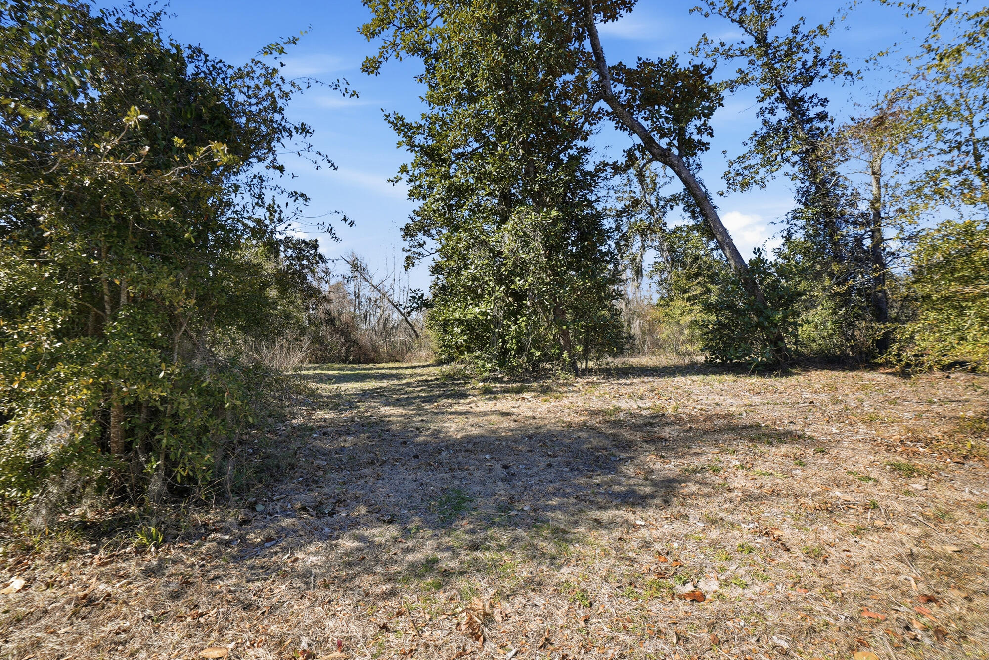 9203 Lake Forest Drive