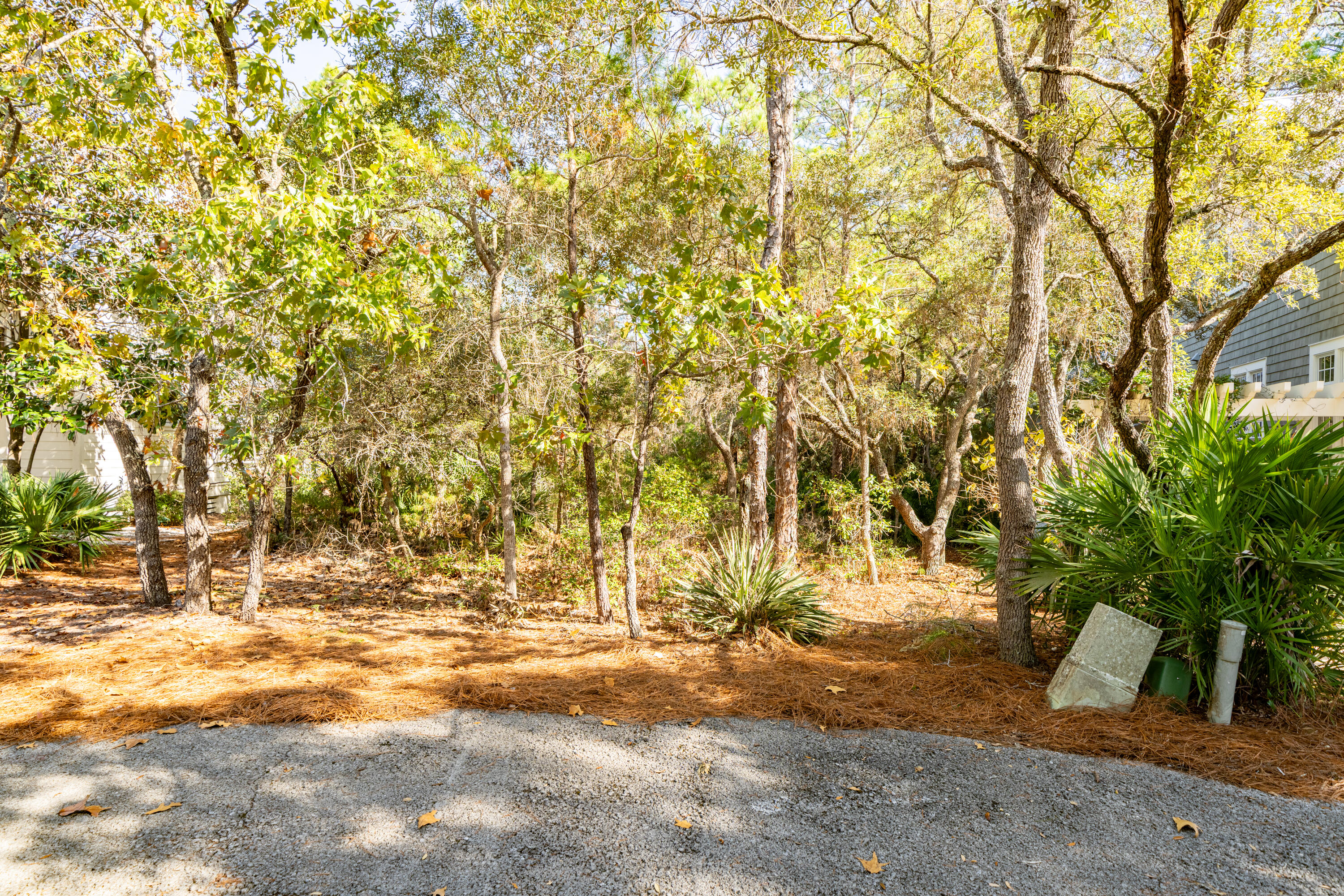 131 Hammock Lane