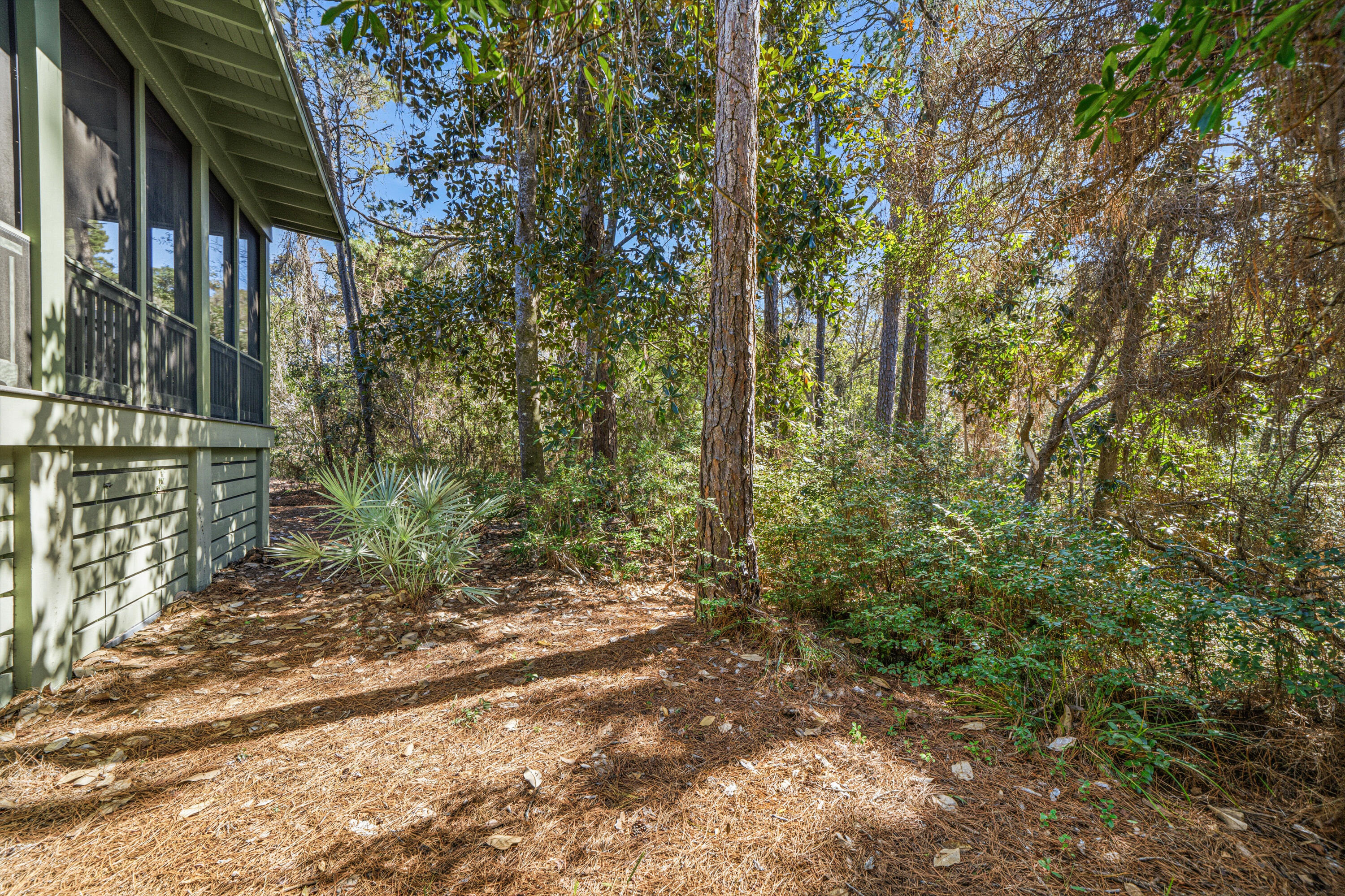 131 Hammock Lane