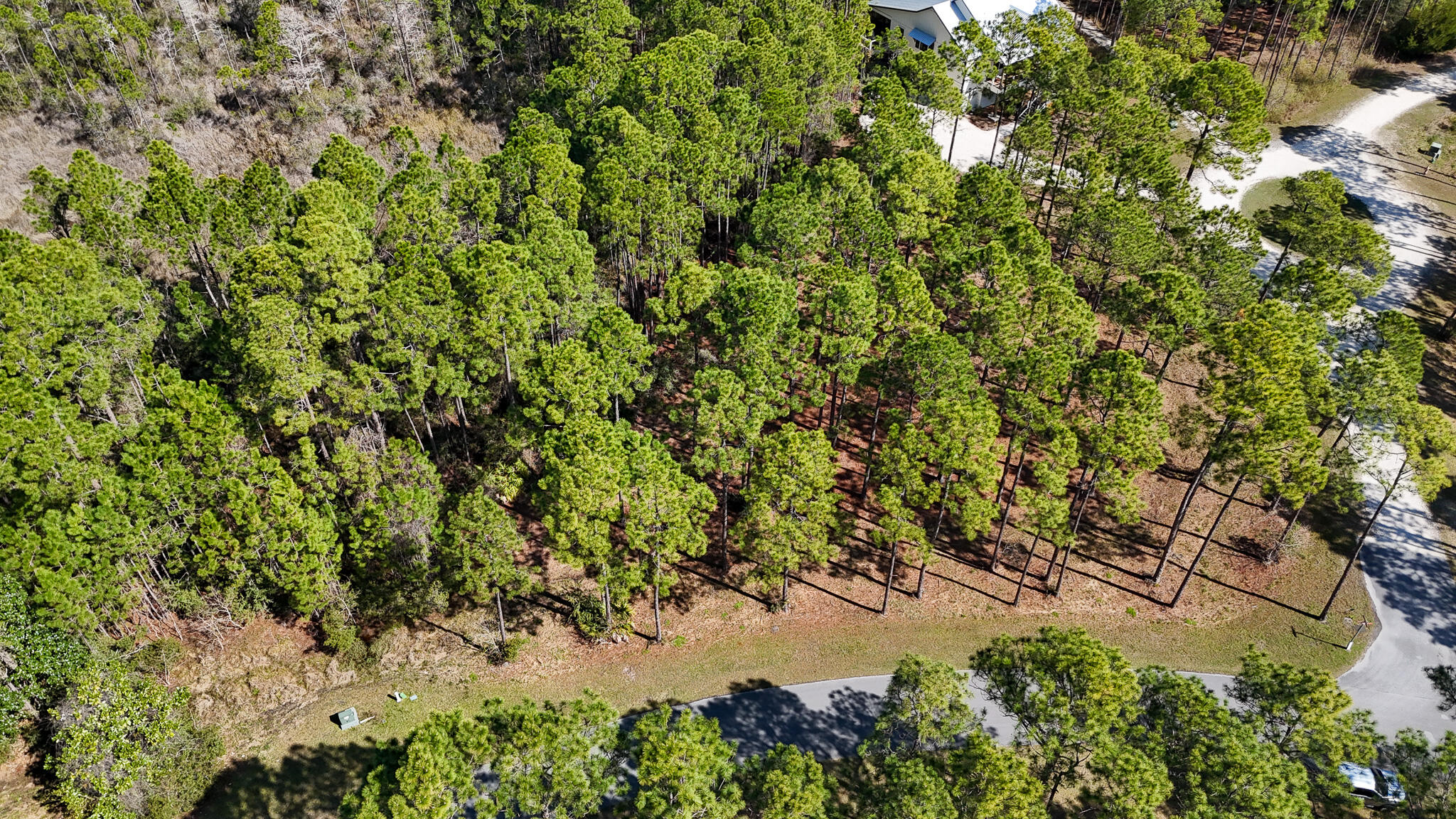 7516 Morning Marsh Trail