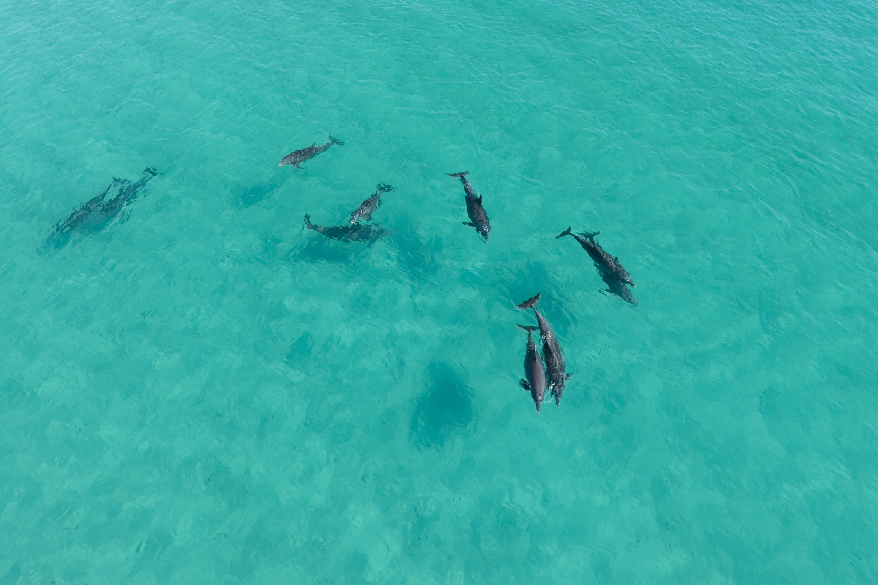 17647 Front Beach Road