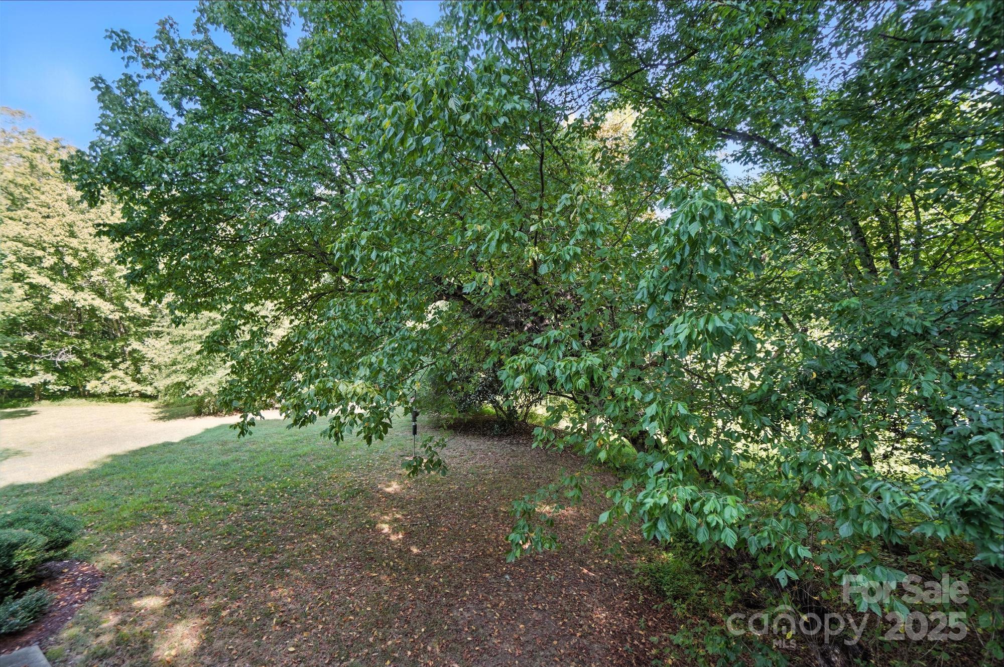 15126 Stonegreen Lane