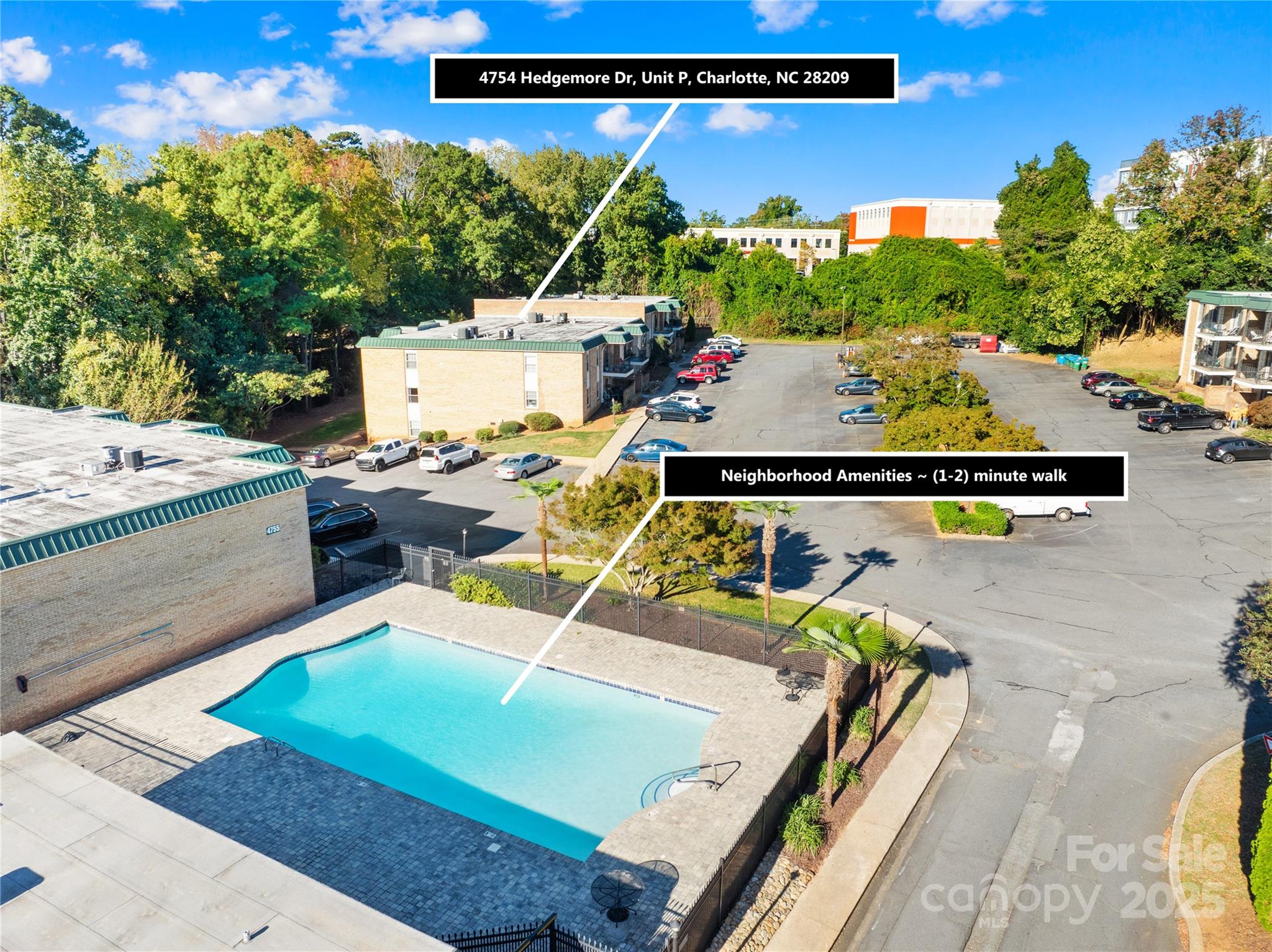 4754 Hedgemore Drive Unit: P