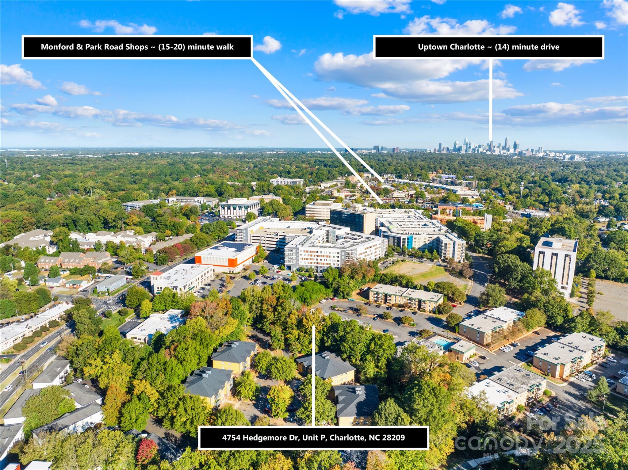 4754 Hedgemore Drive Unit: P