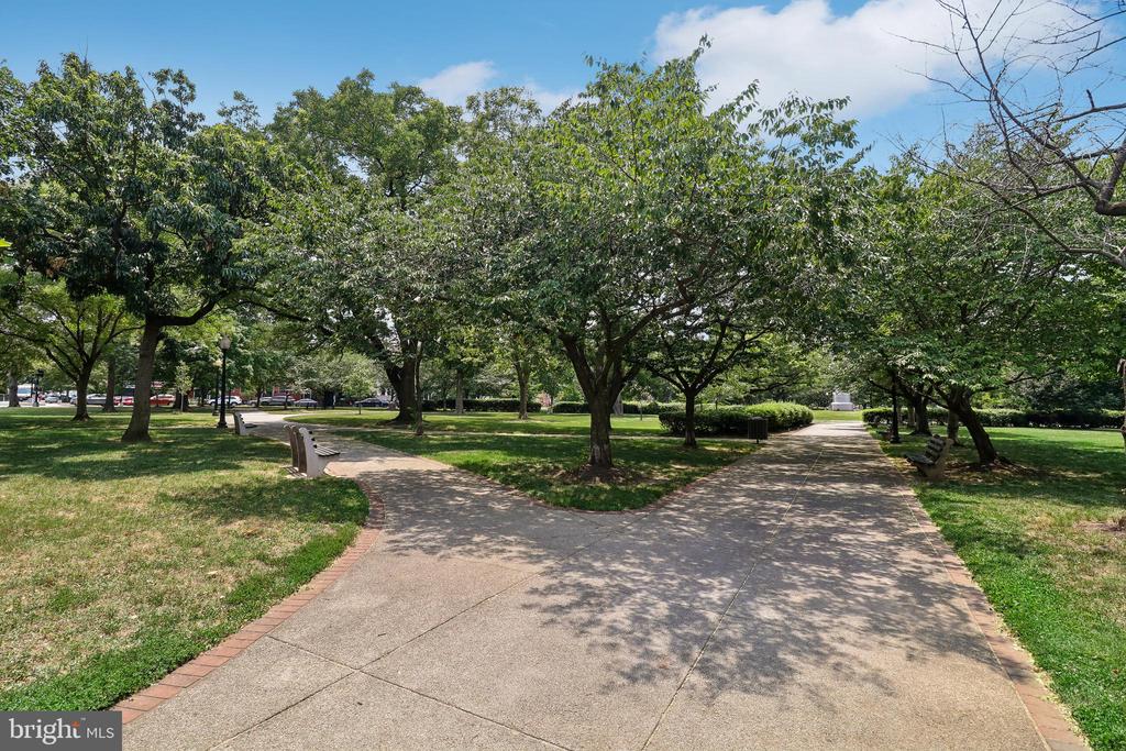 504 C STREET NE Unit: 4