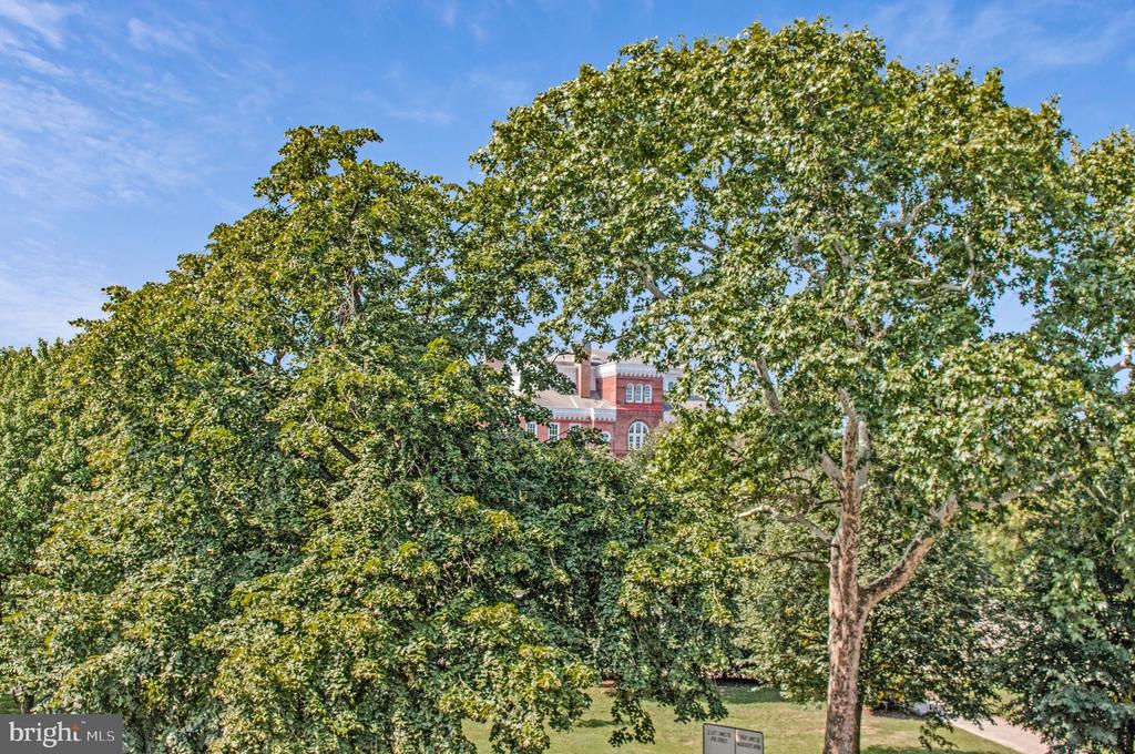 504 C STREET NE Unit: 4