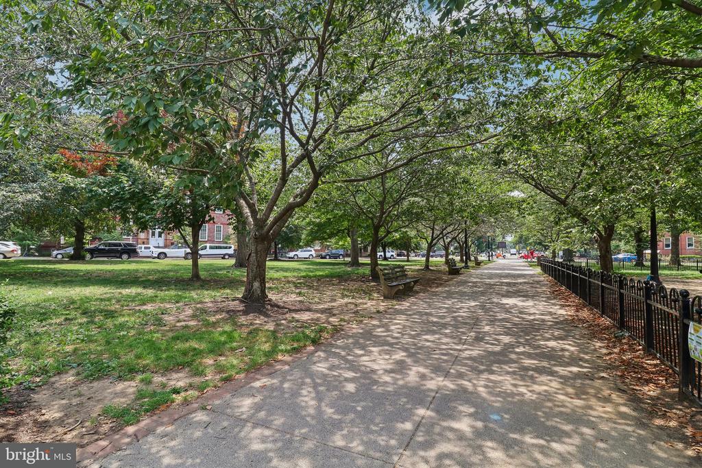 504 C STREET NE Unit: 4
