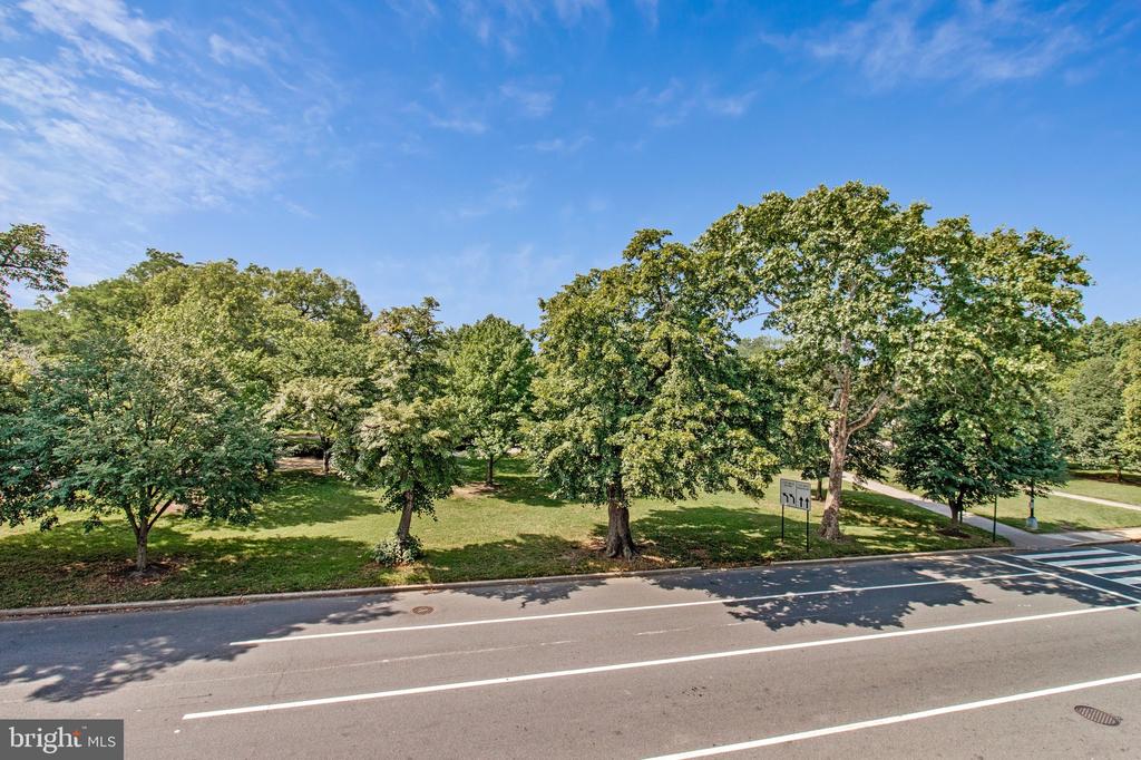 504 C STREET NE Unit: 4