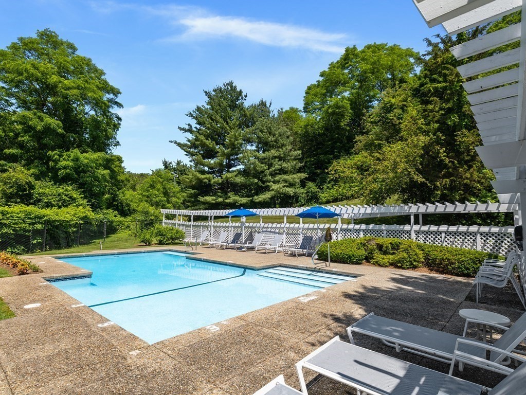 Outdoor swimming pool with a shallow section, white lounge chairs, and a pergola beneath mature trees.