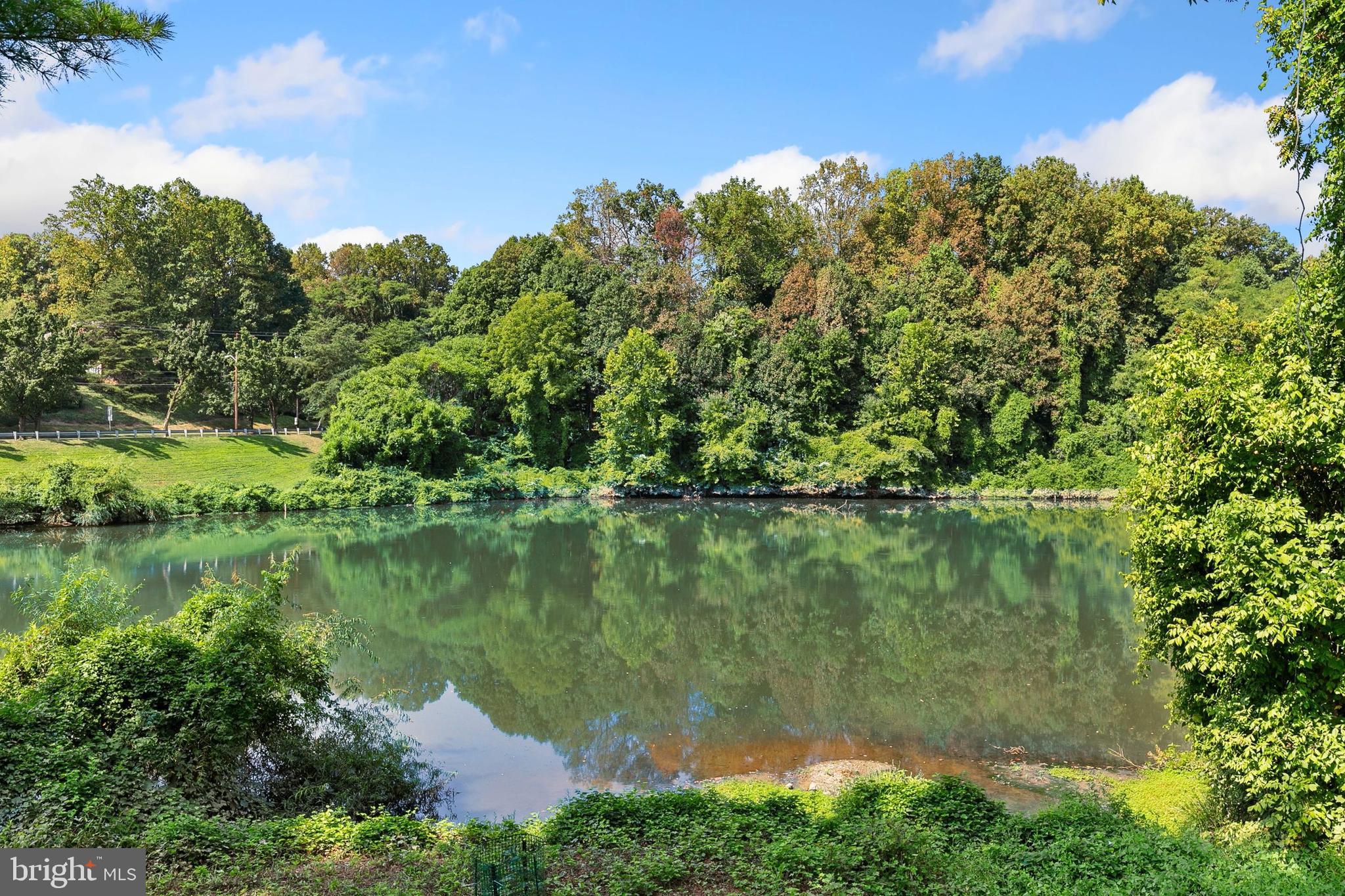 10715 Kings Riding WAY Unit: 102