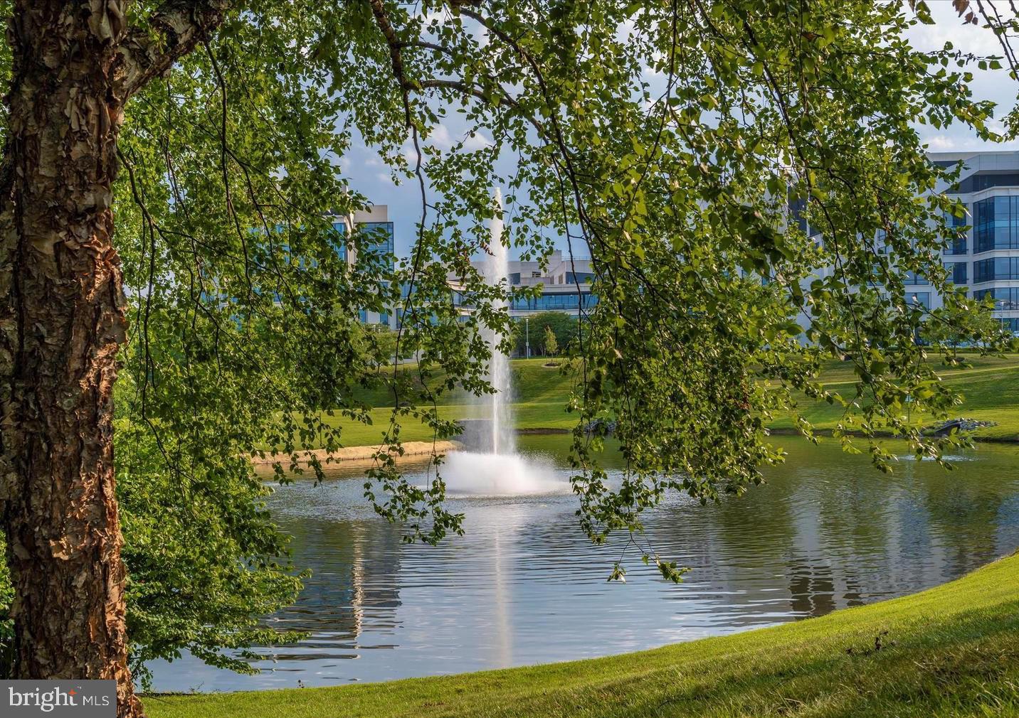 410 Orchard Ridge Dr #410