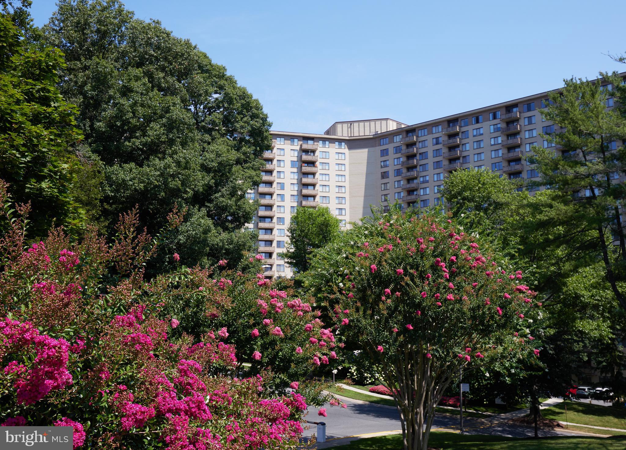 5225 Pooks Hill Rd #618s