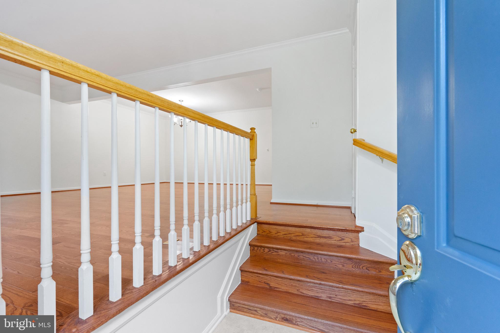 11435 Hollowstone Dr