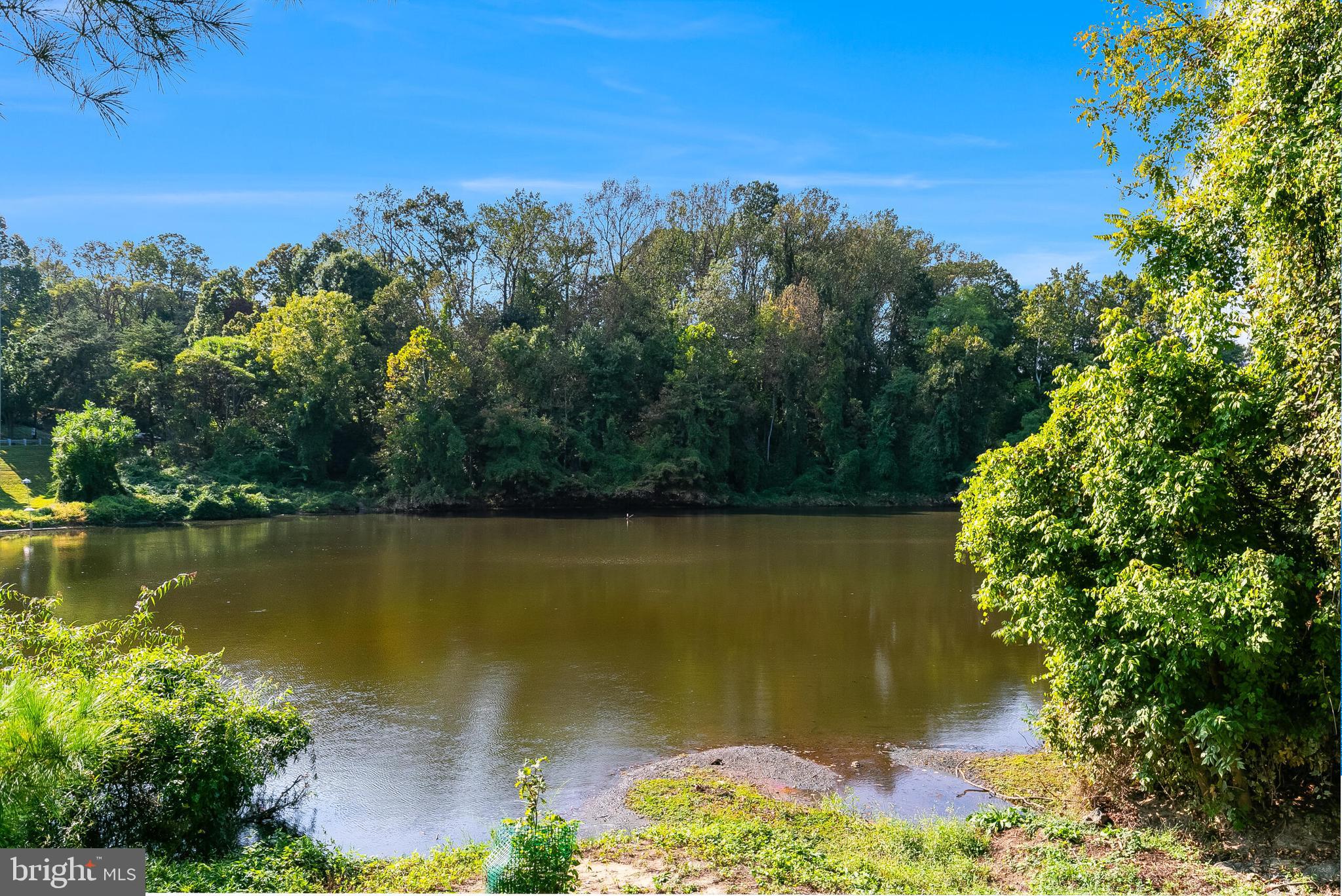 10823 HAMPTON MILL TERRACE