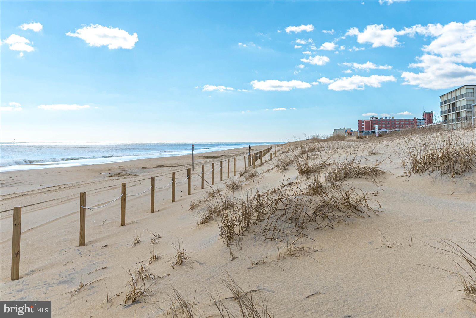 7103 Atlantic Ave #10