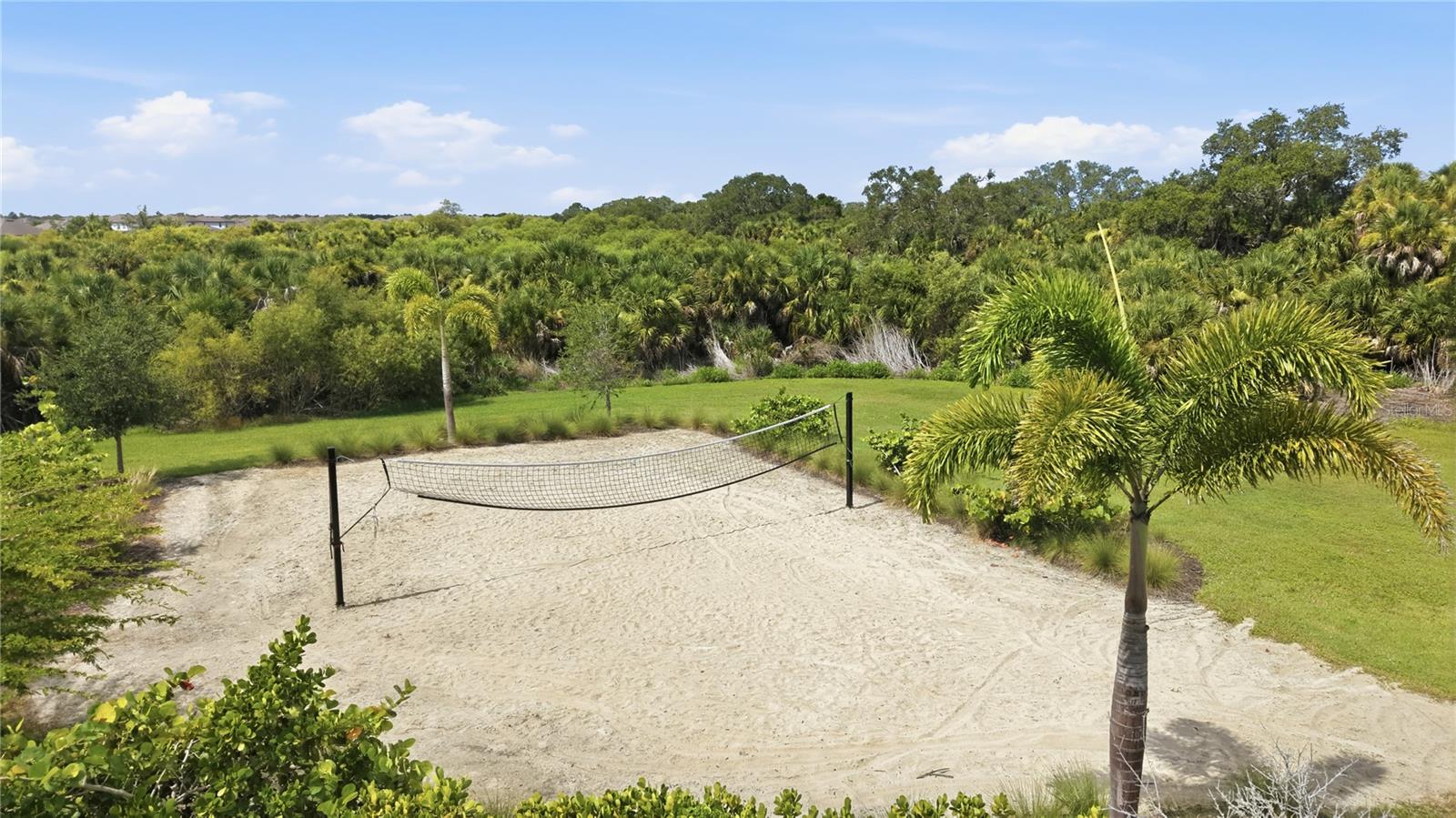 5542 NATIVE HENNA CT