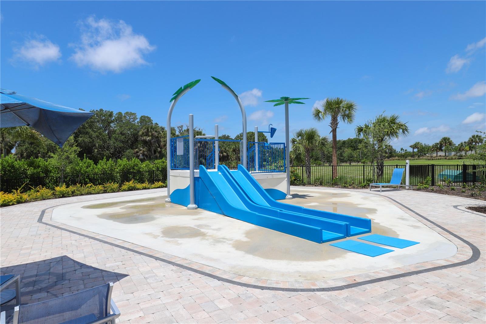 5542 NATIVE HENNA CT