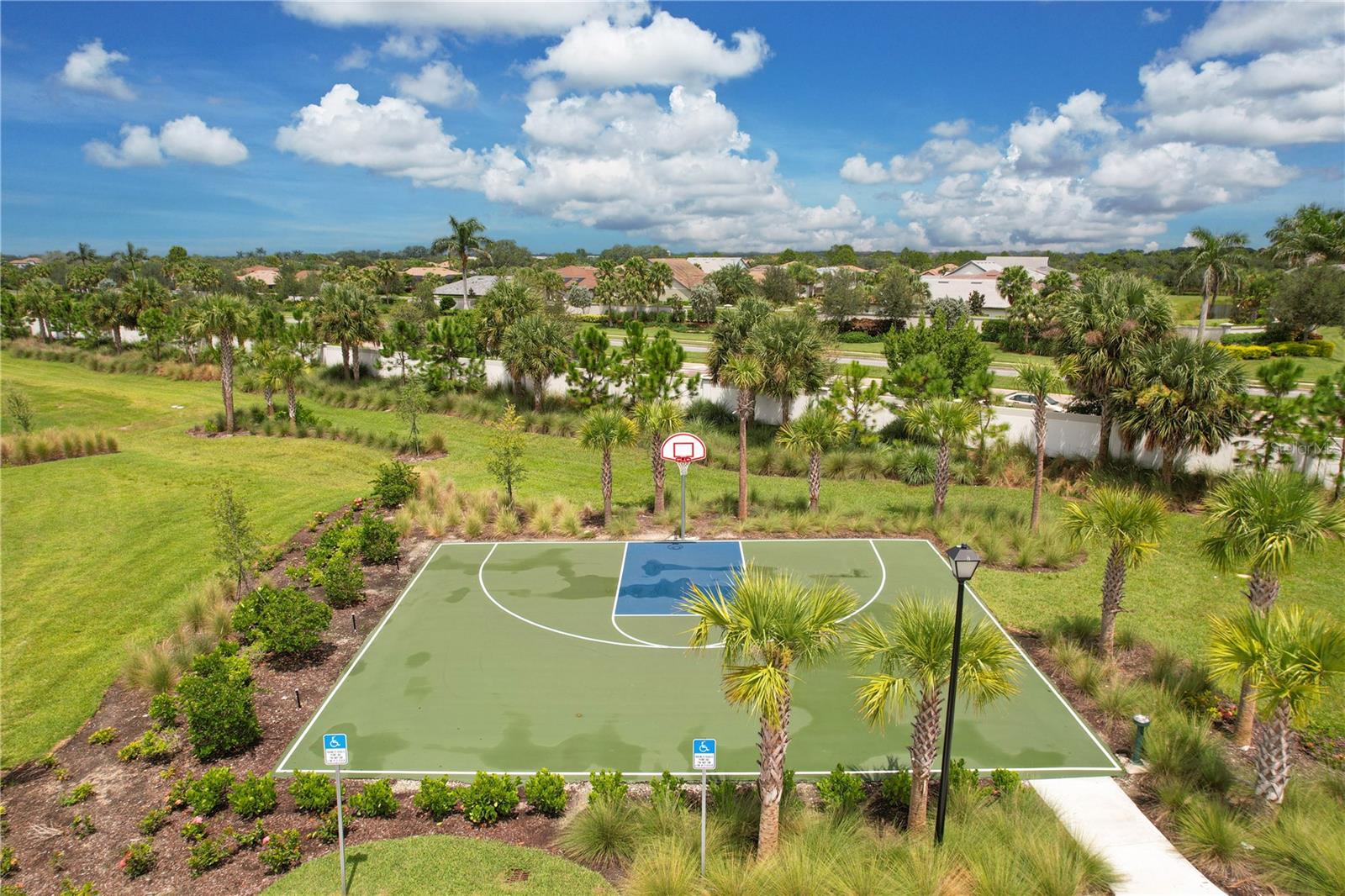 5542 NATIVE HENNA CT