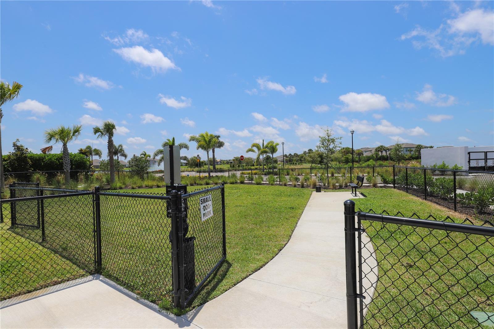 5542 NATIVE HENNA CT