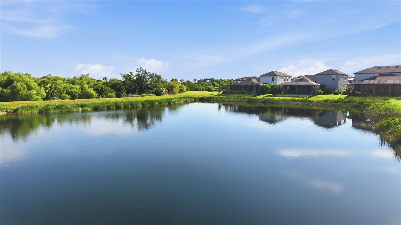 5542 NATIVE HENNA CT