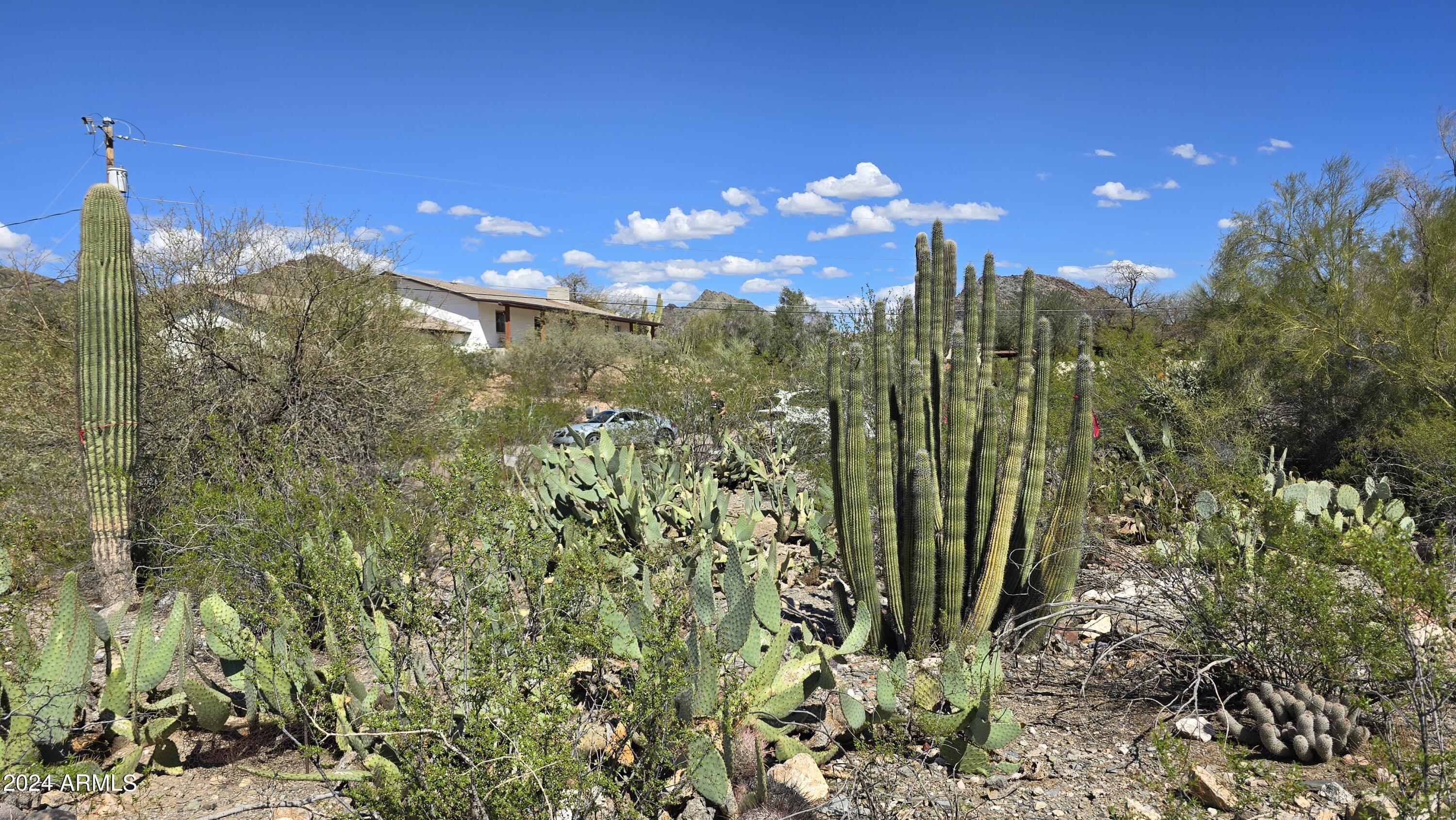 1705 E GRISWOLD Road, 10