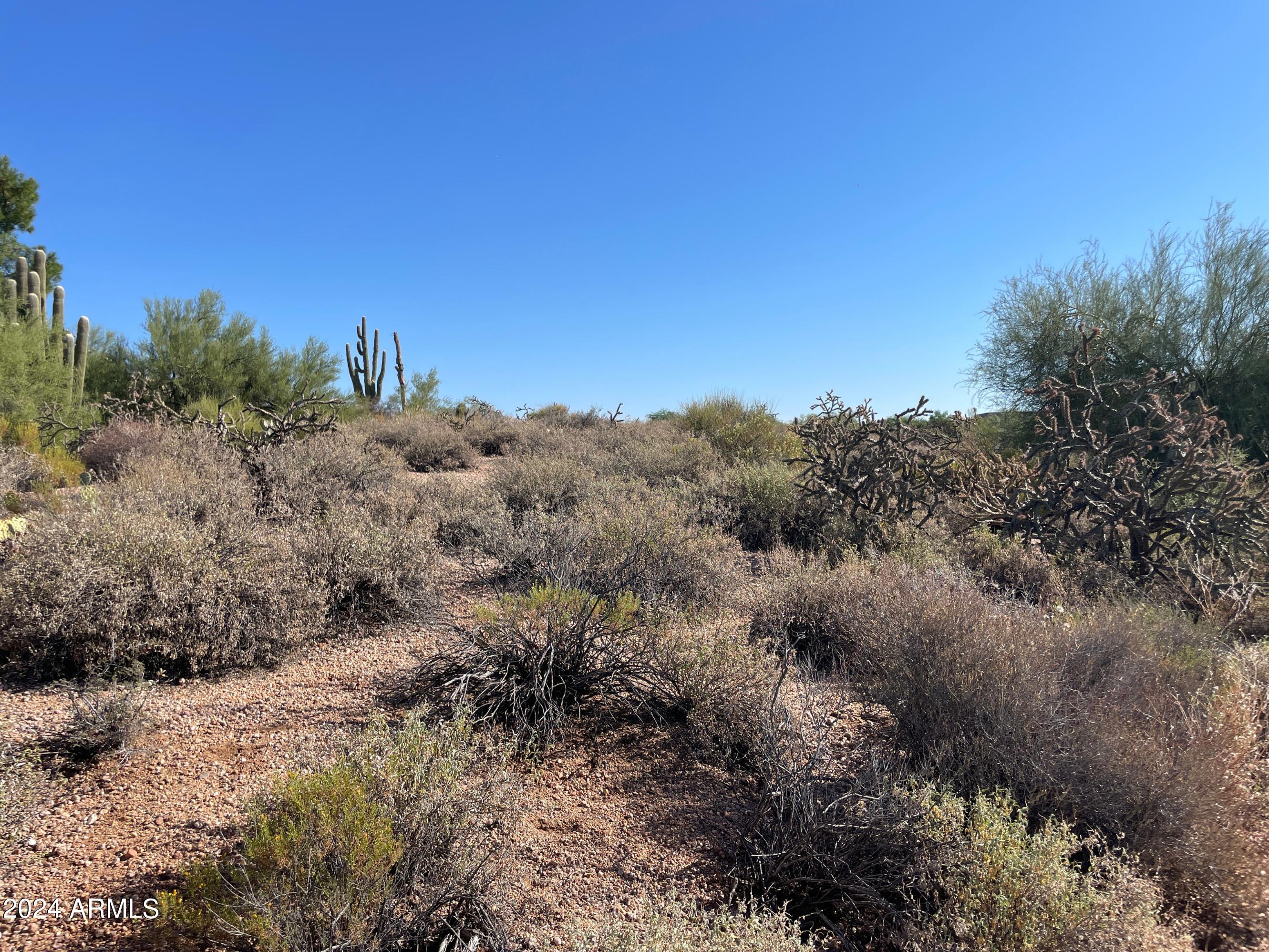 0000 N WILDFLOWER Road 44