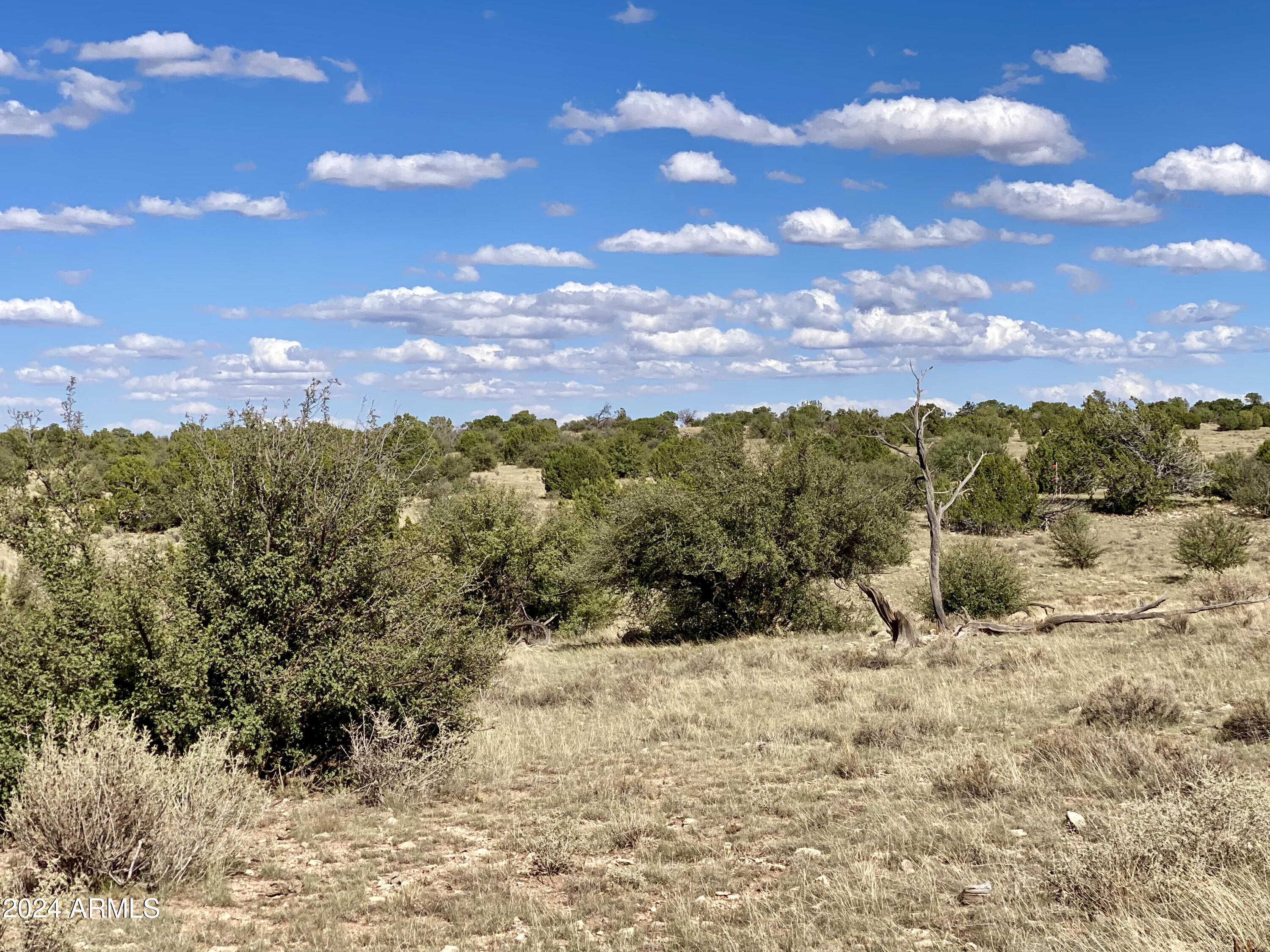 5733 W CLOVE HITCH Road 356