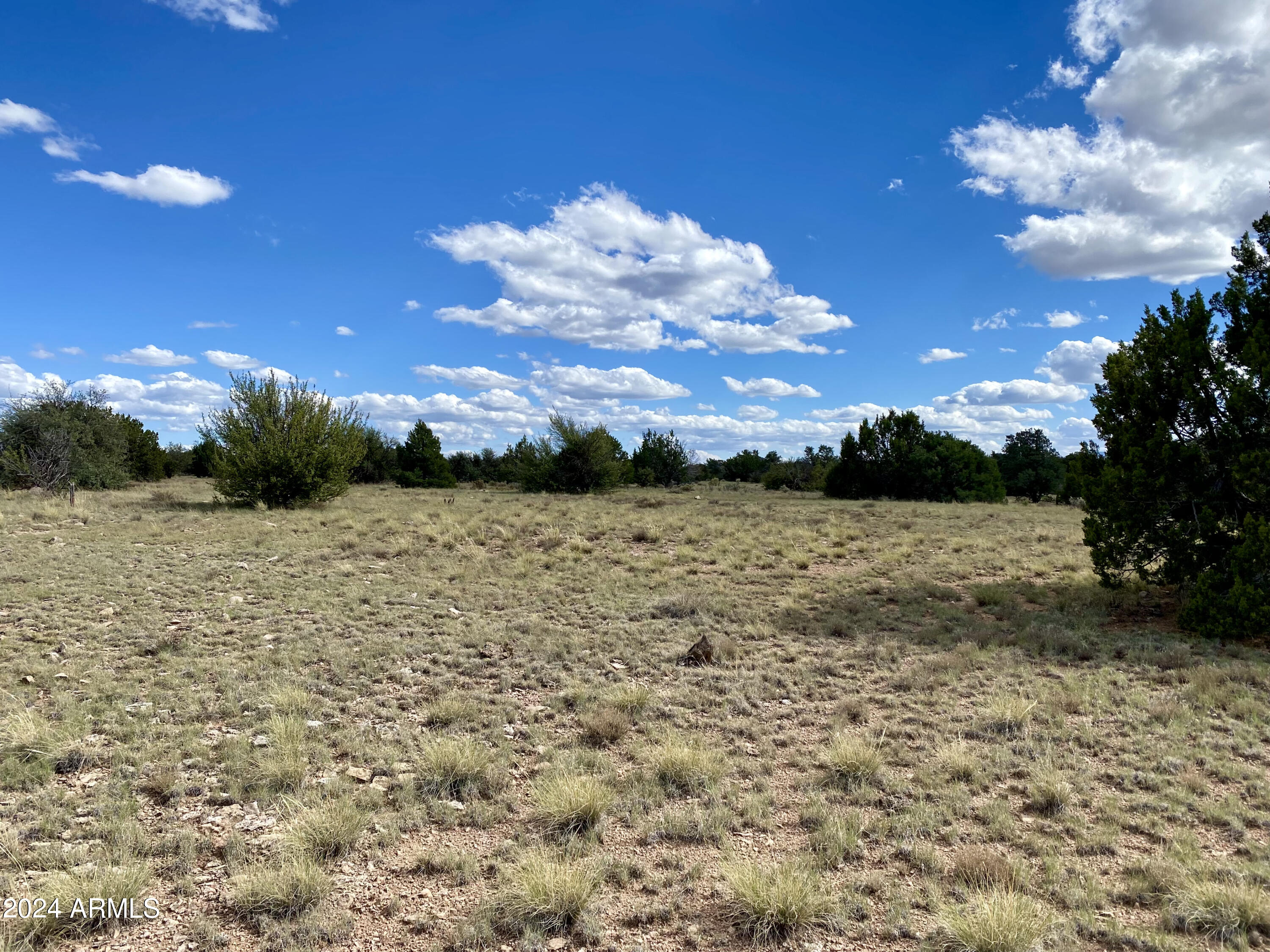 5733 W CLOVE HITCH Road 356