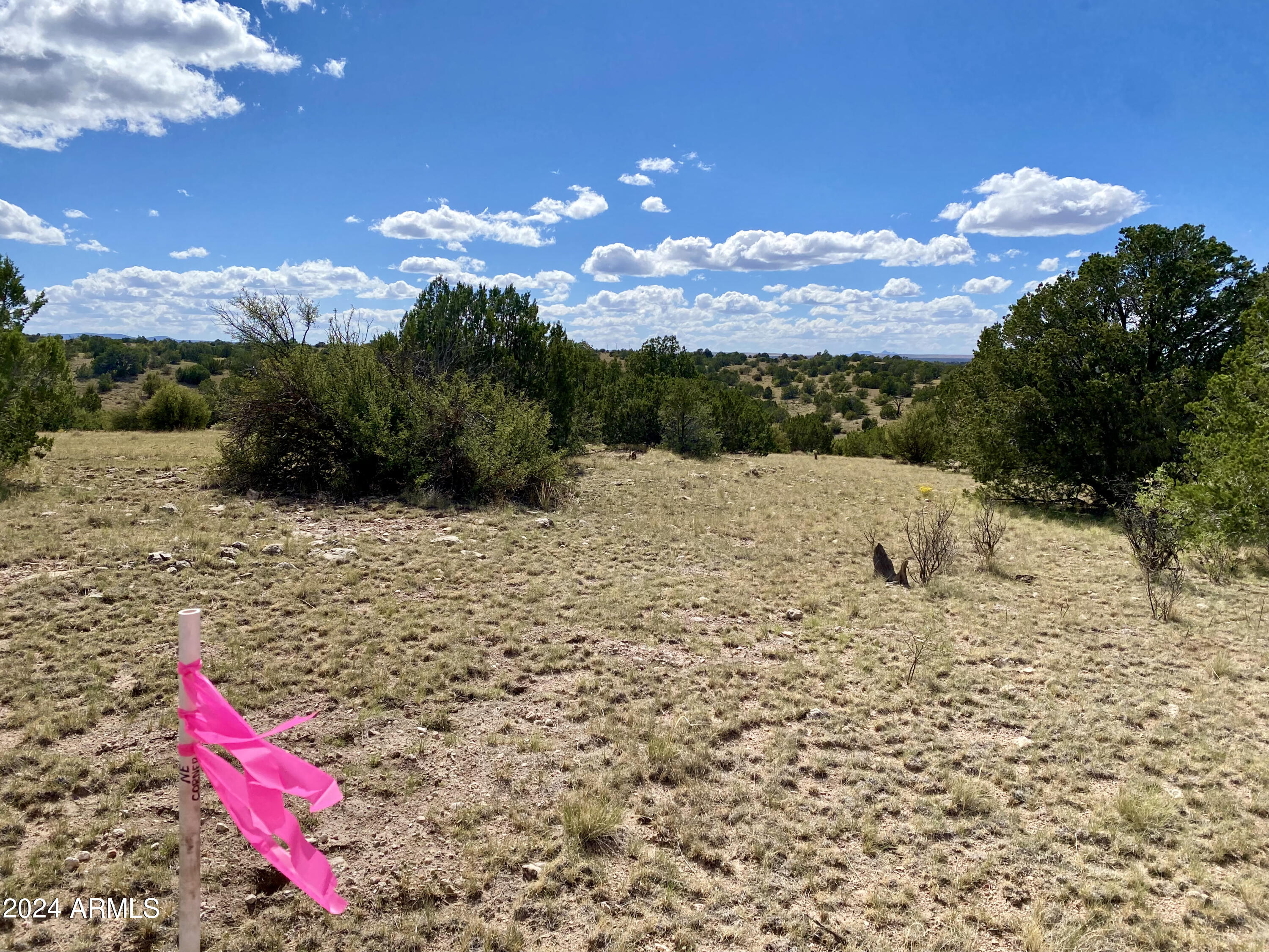 5733 W CLOVE HITCH Road 356