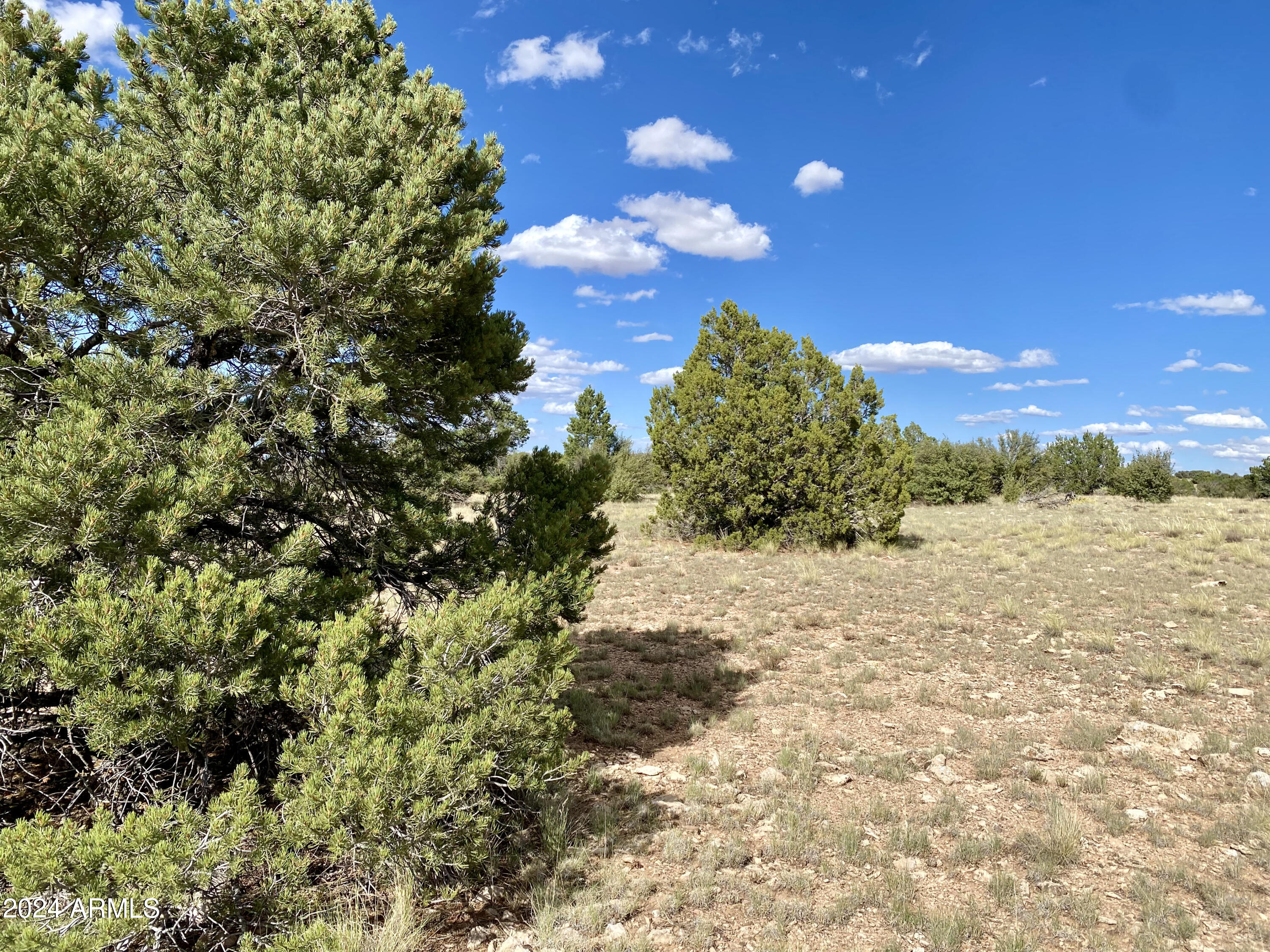 5733 W CLOVE HITCH Road 356