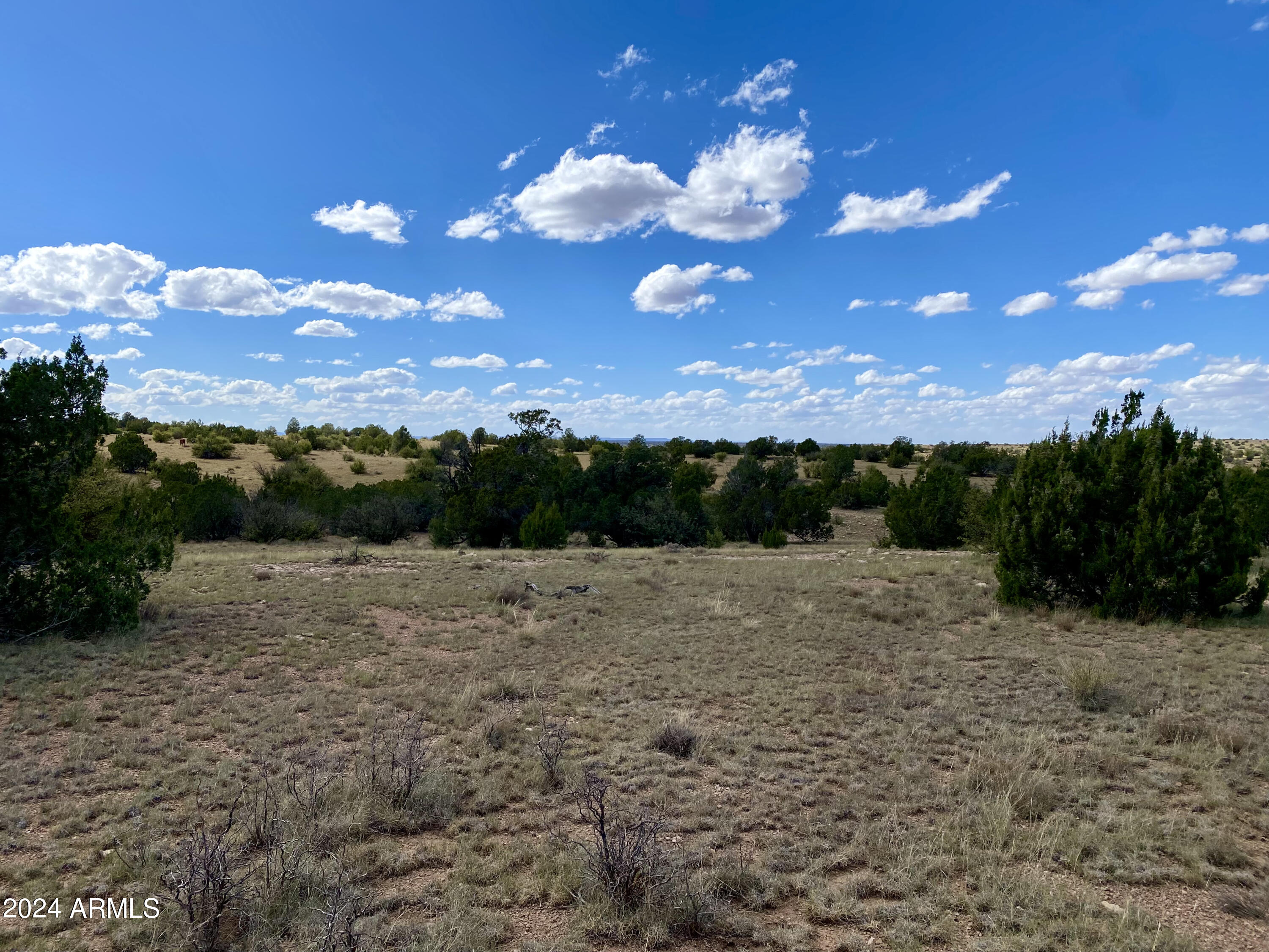 5733 W CLOVE HITCH Road 356