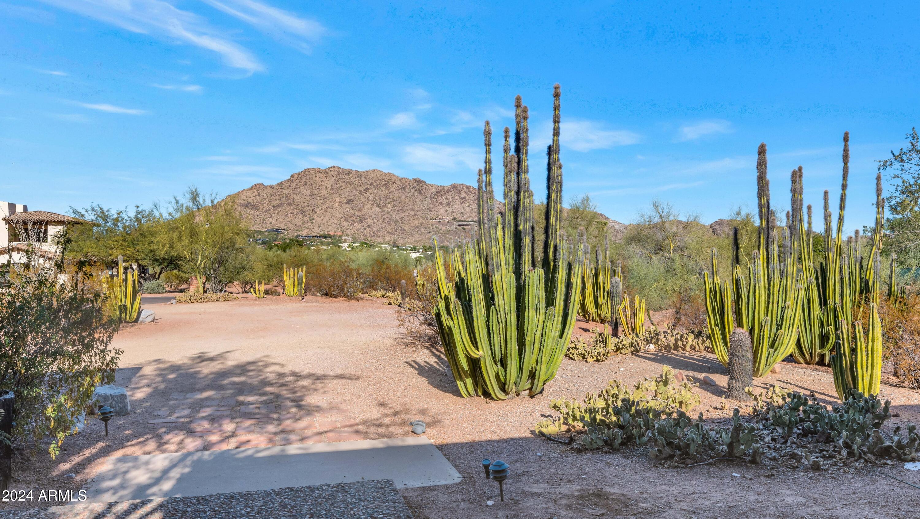 6105 N CAMELBACK MANOR Drive 16