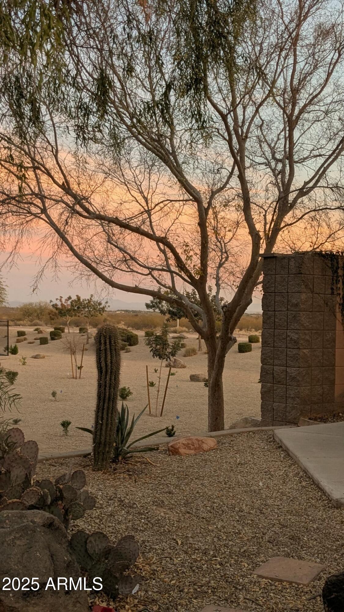 6941 E LUSH VISTA View